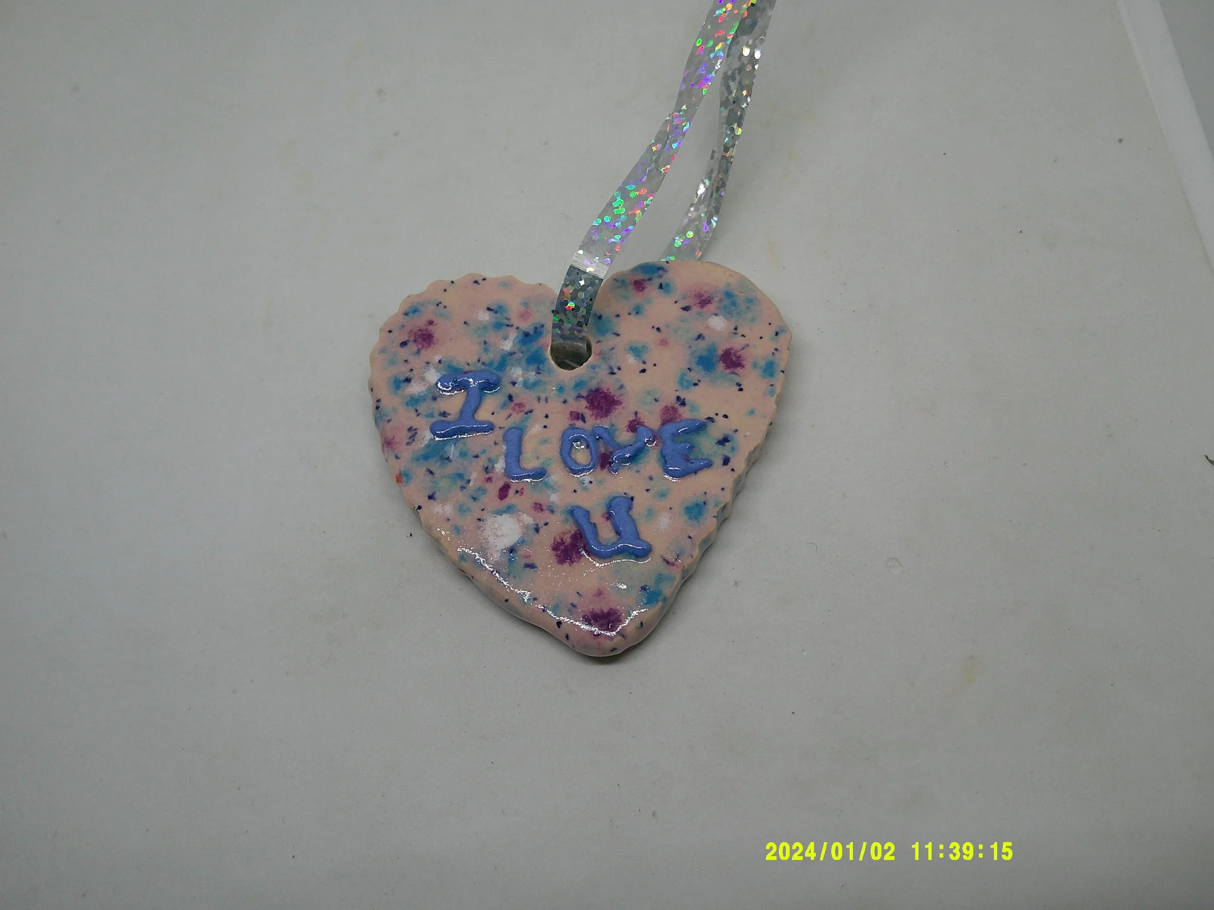 DSCF0100 - Copy (2).JPG