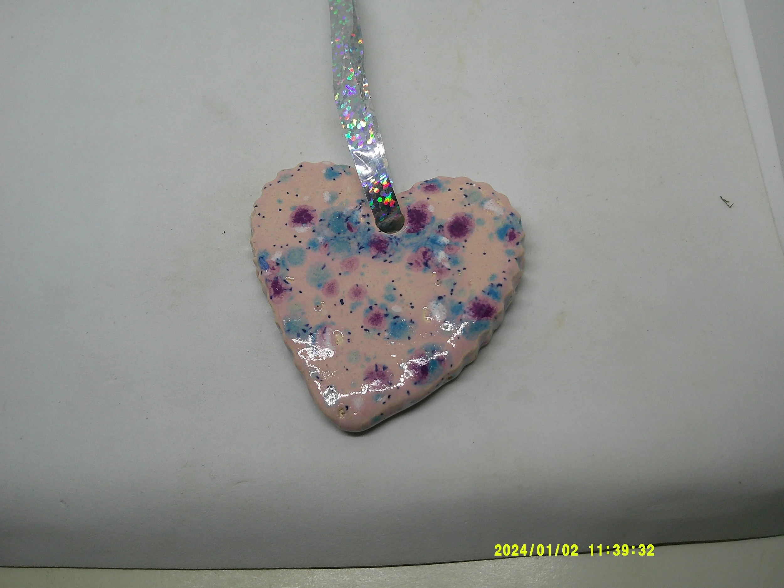 DSCF0102 - Copy (3).JPG