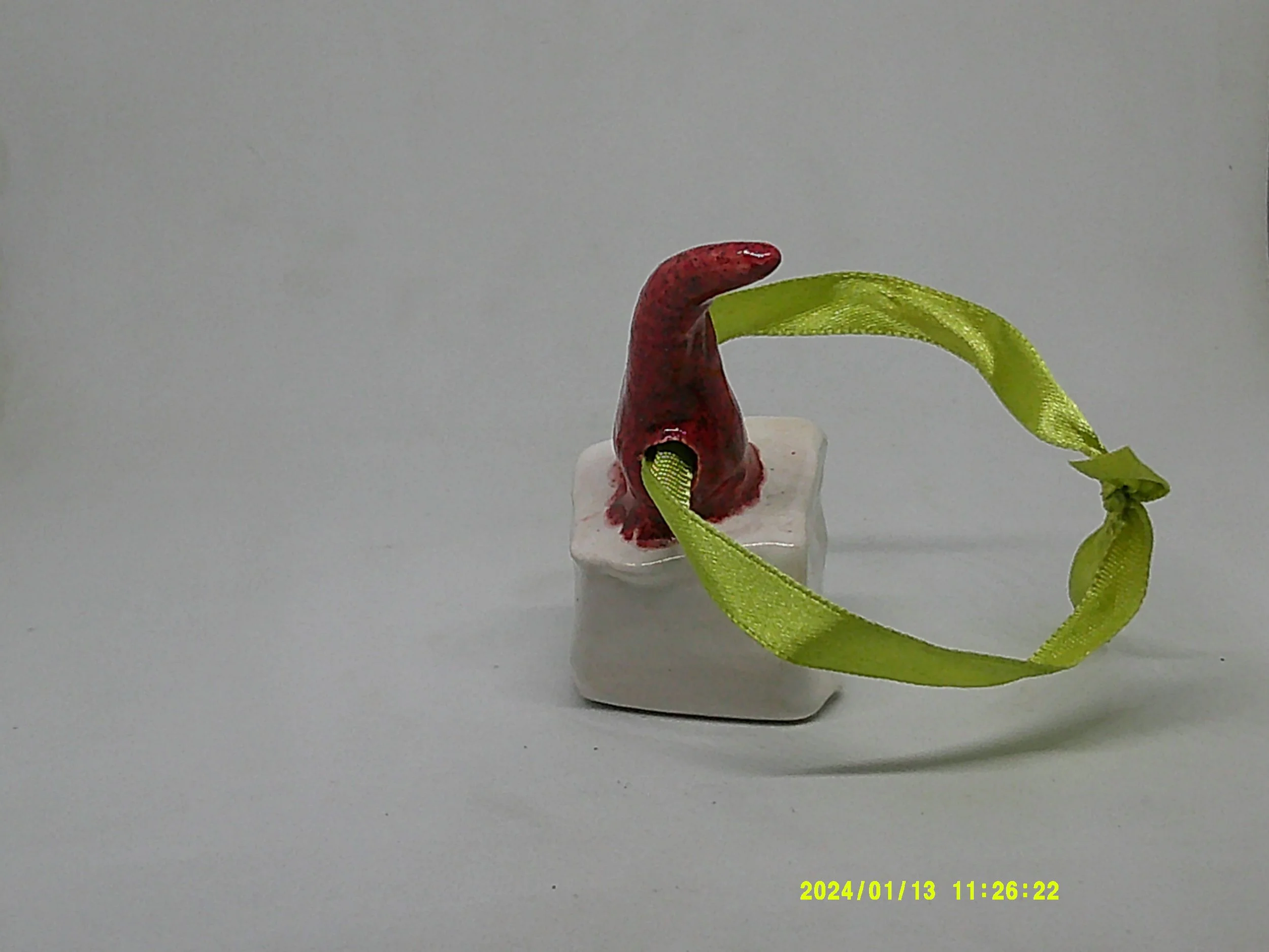 DSCF0028.JPG