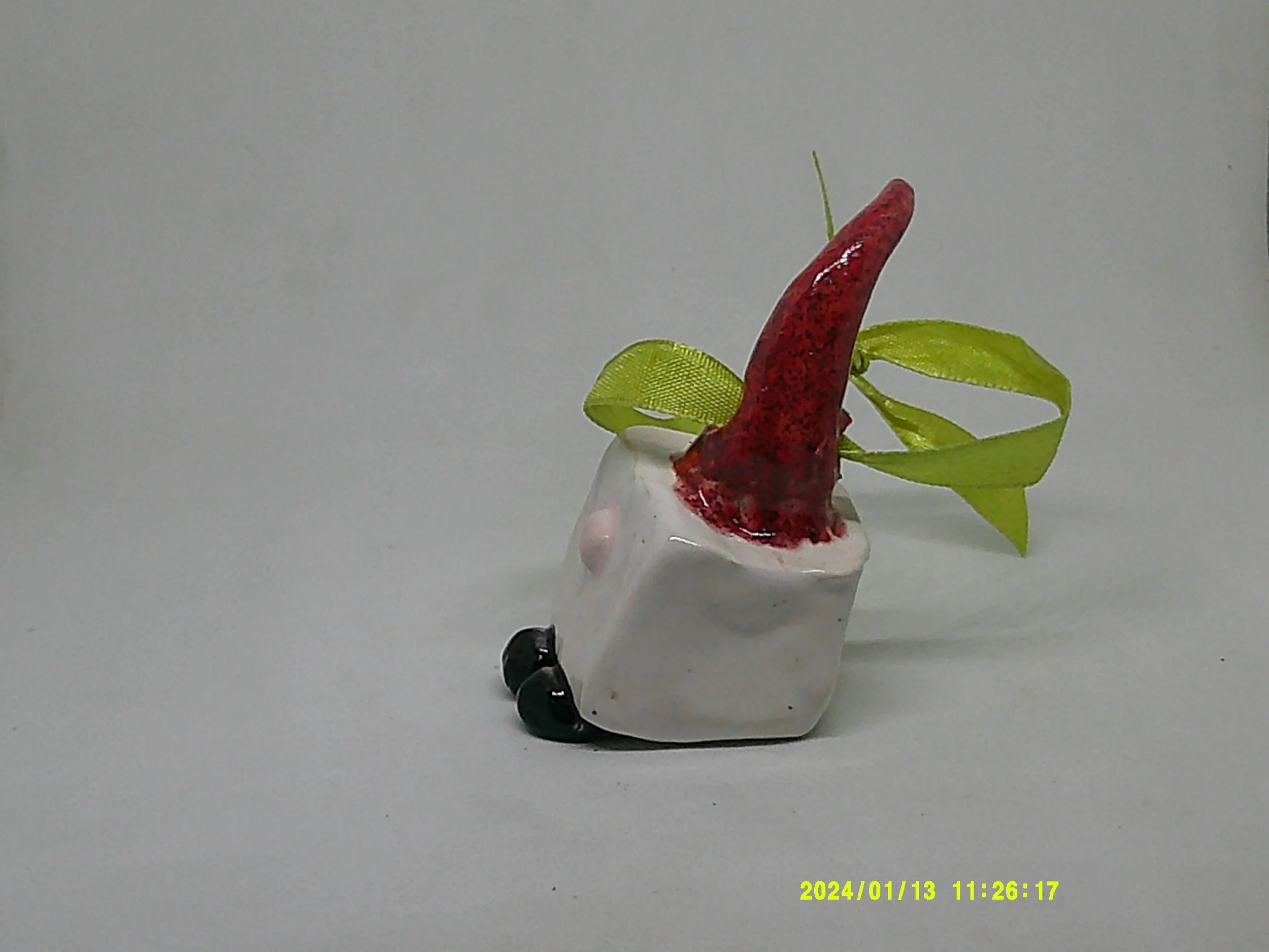 DSCF0027.JPG