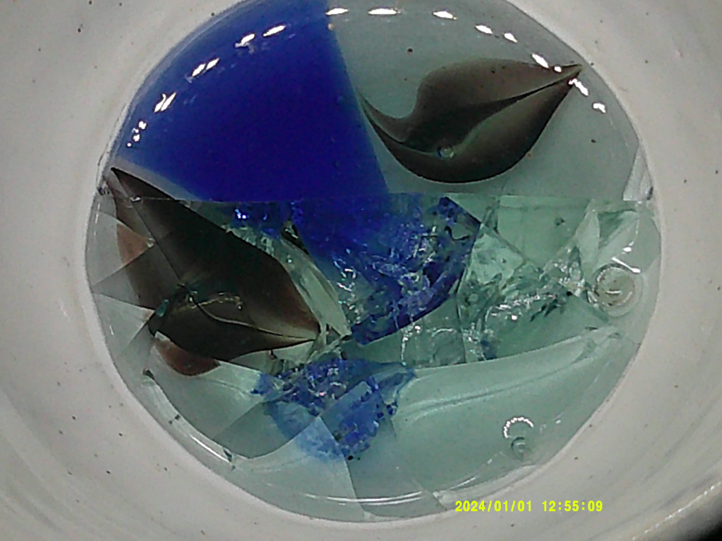 DSCF0225 - Copy (3).JPG