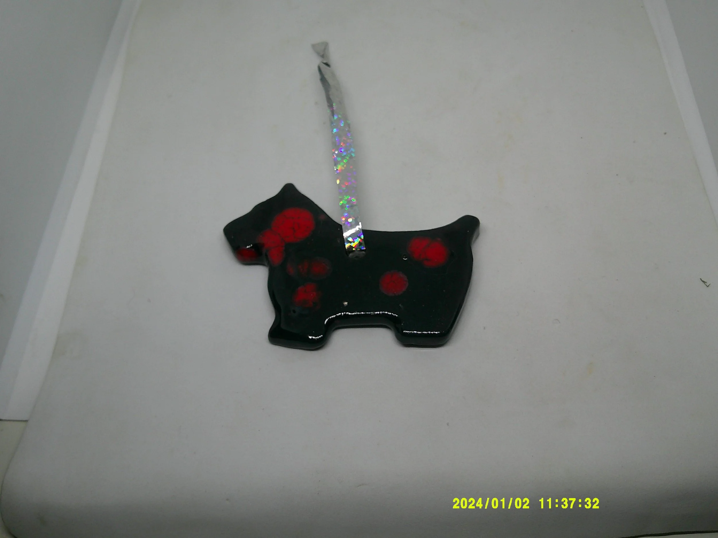 DSCF0088 - Copy (2).JPG