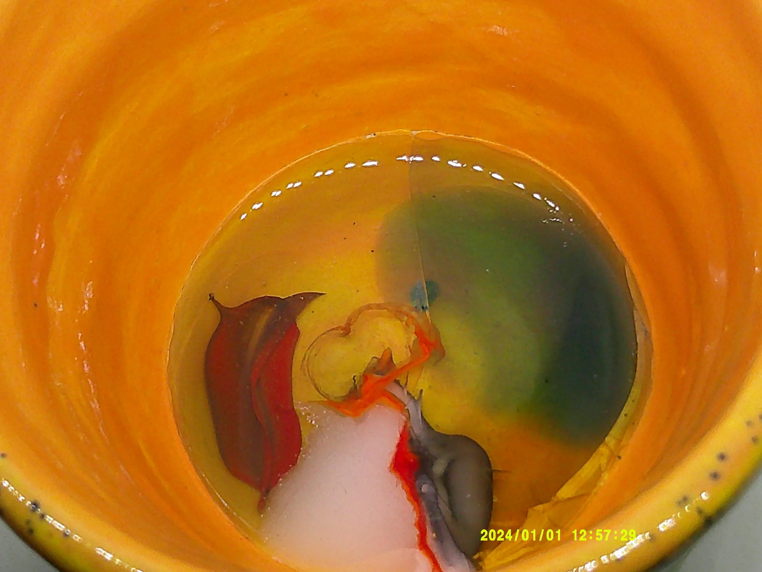 DSCF0232 - Copy (3).JPG