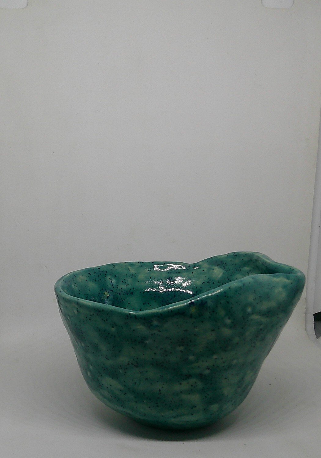 DSCF0422 - Copy (2).JPG