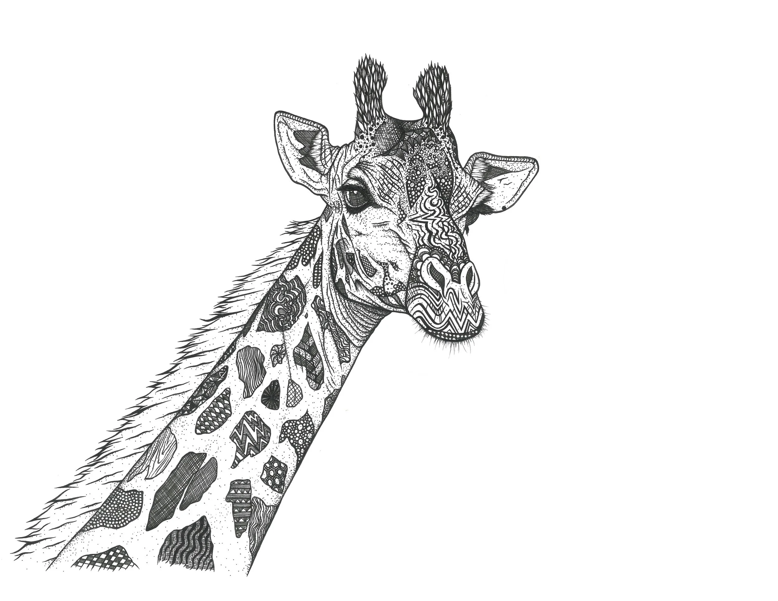 PrintGiraffe11x8.5.jpg