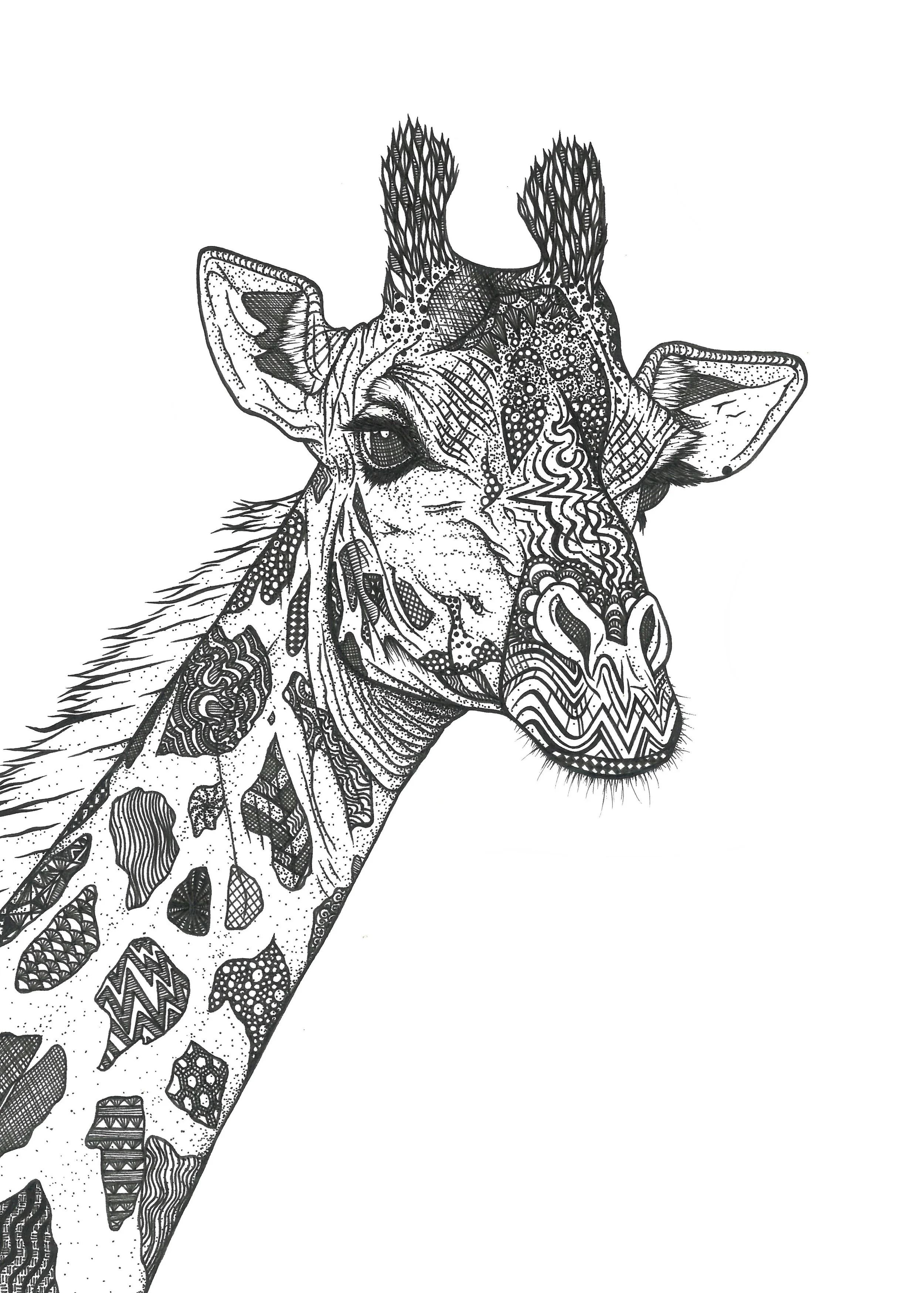 PrintGiraffe11x8.52.jpg