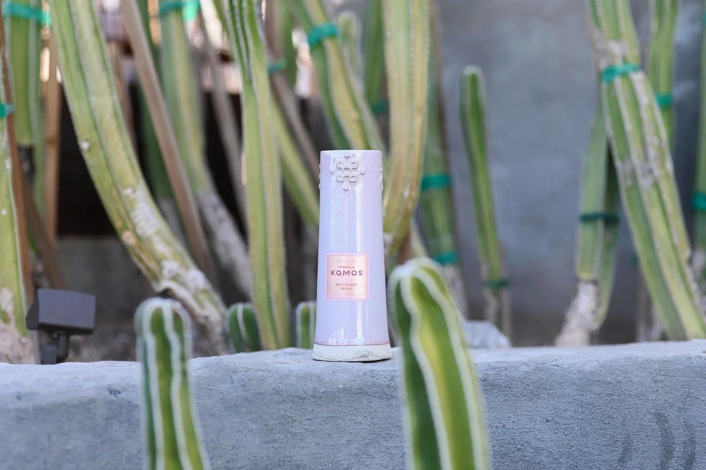 komos in the desert 🌵

shop the tequila collection ~ link in bio!