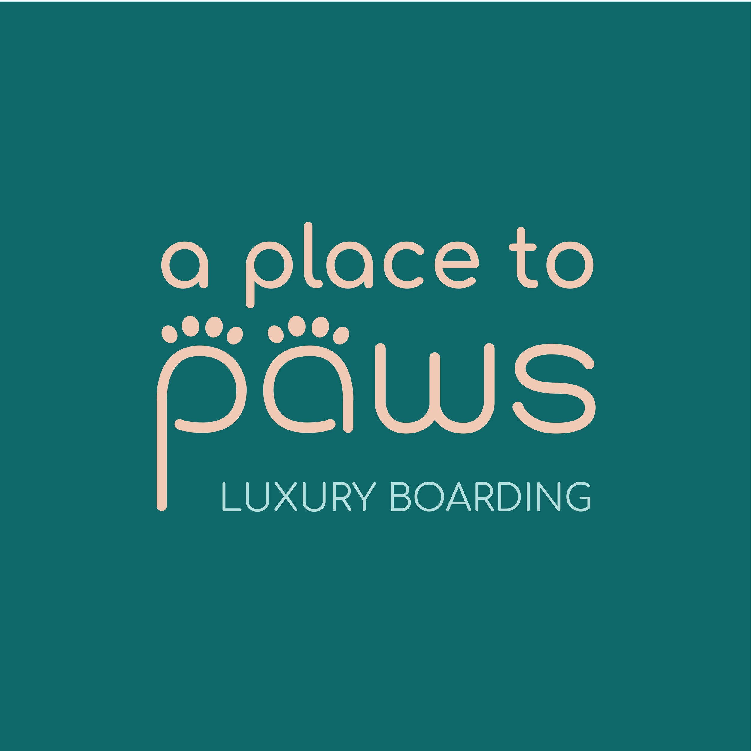 A Place to Paws • Luxury Boarding