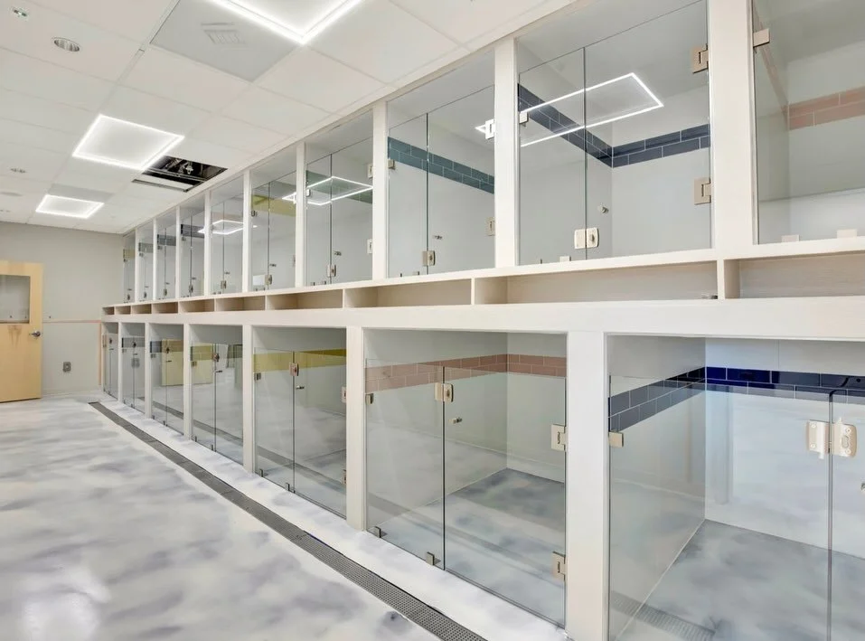 A row of tiled glass enclosures in a clean, modern indoor facility, with a marble floor in "A Place To Paws" Luxury Pet Boarding and Dog Daycare facility in Bluffton, SC in the Lowcountry.