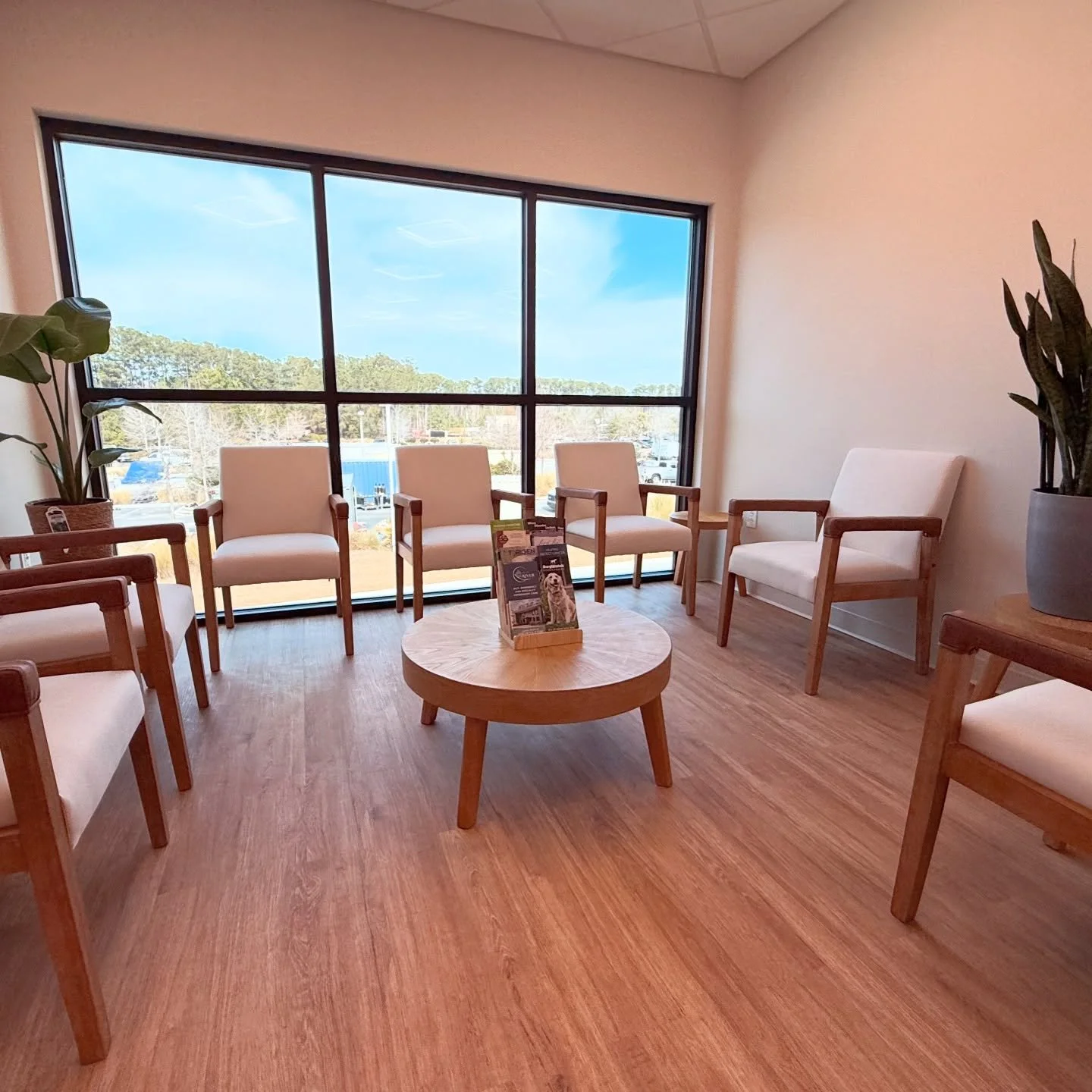 Buckwalter Veterinary Clinic waiting room with eight wooden-framed chairs with white cushions arranged in a semi-circle around a round wooden table, with a large window showing a view of a parking lot, trees, and blue sky, in Bluffton SC