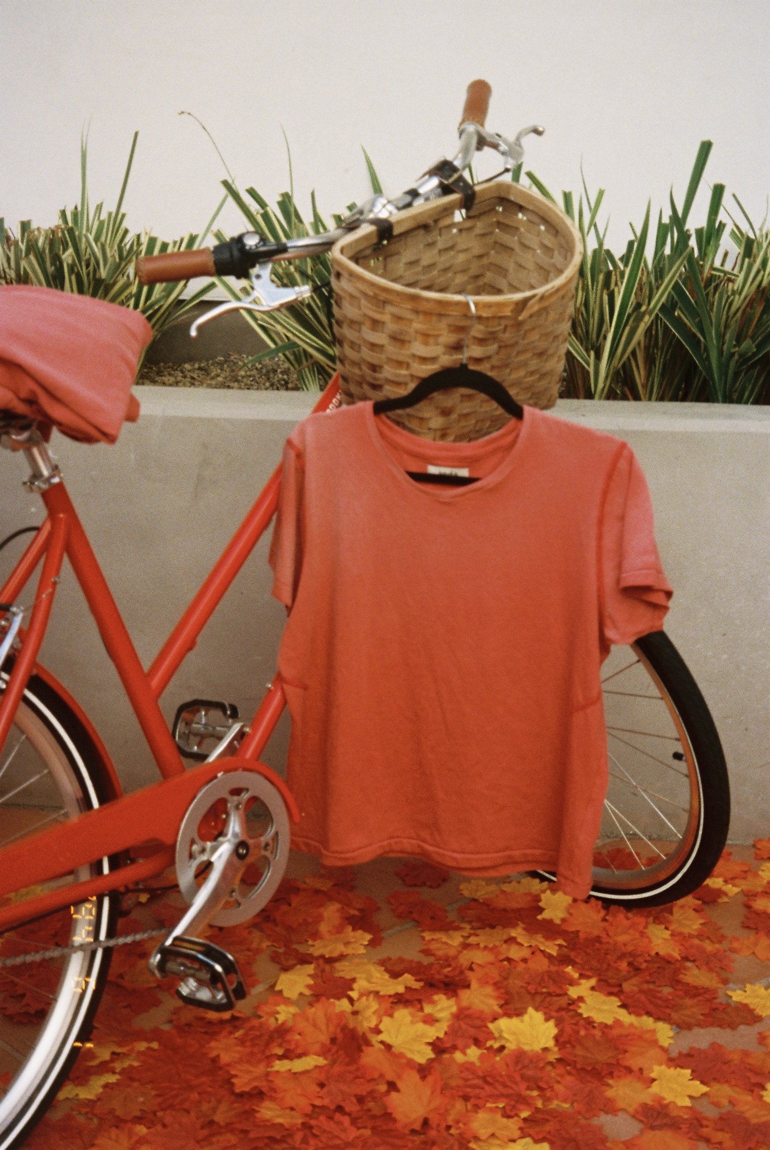 Photo Nov 26 2025, 5 29 56 PM (4).jpg