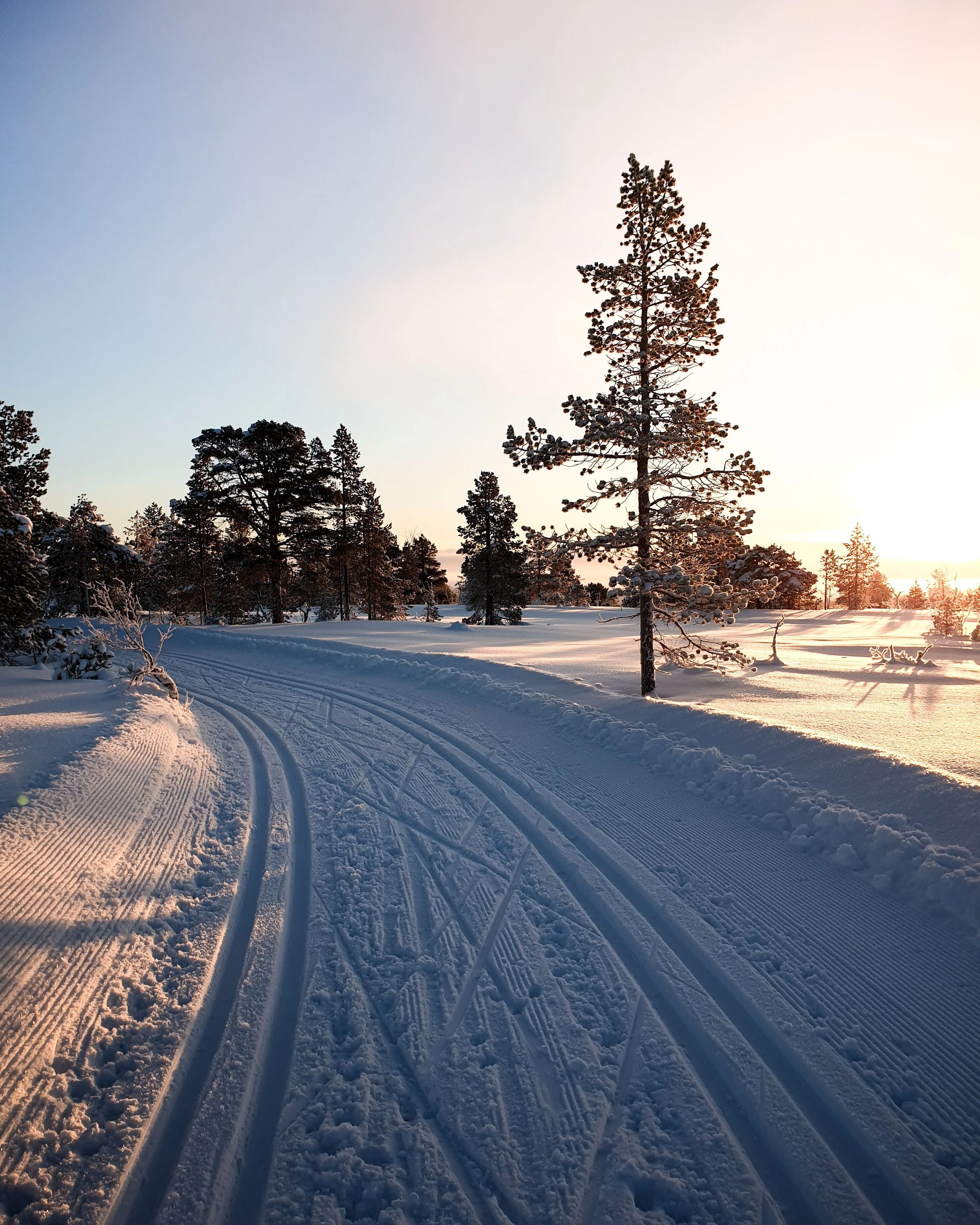 pexels-tobiasbjorkli-1900205.jpg