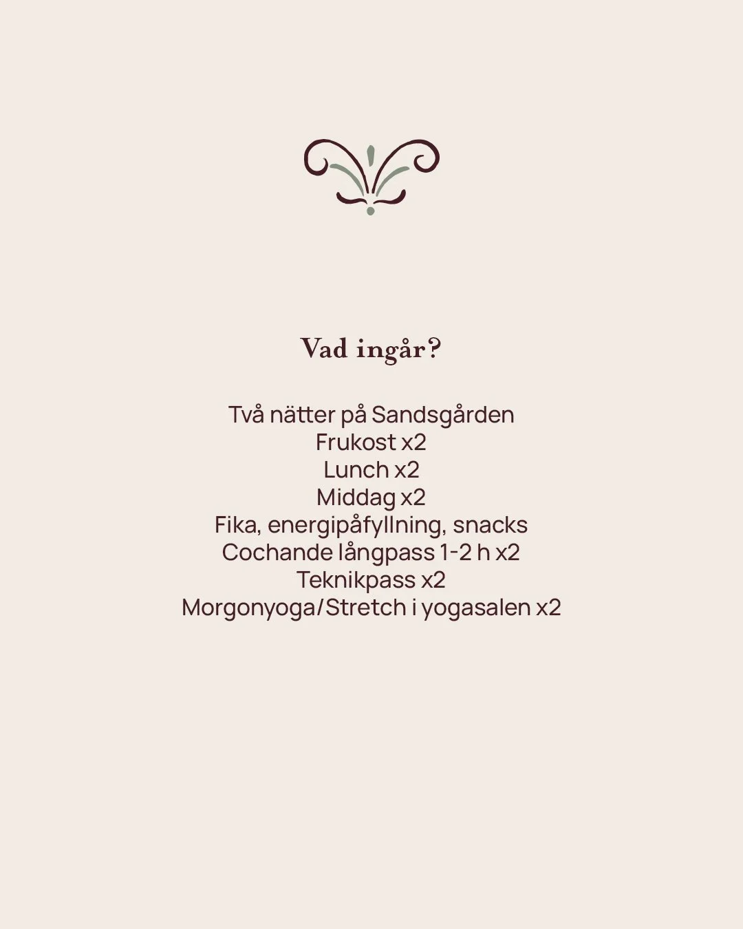 vad ingår.jpg (Copy)