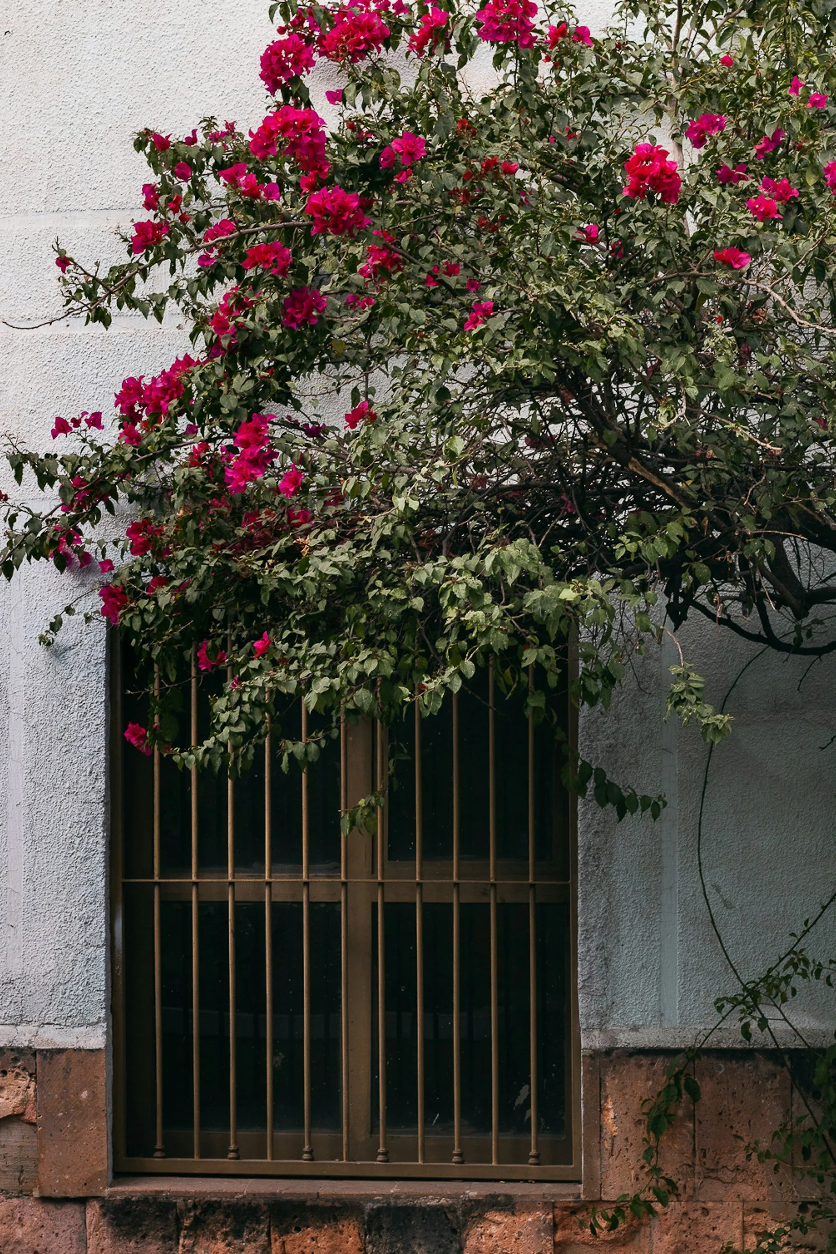 unsplash-image-Qvj_1R99mkY.jpg