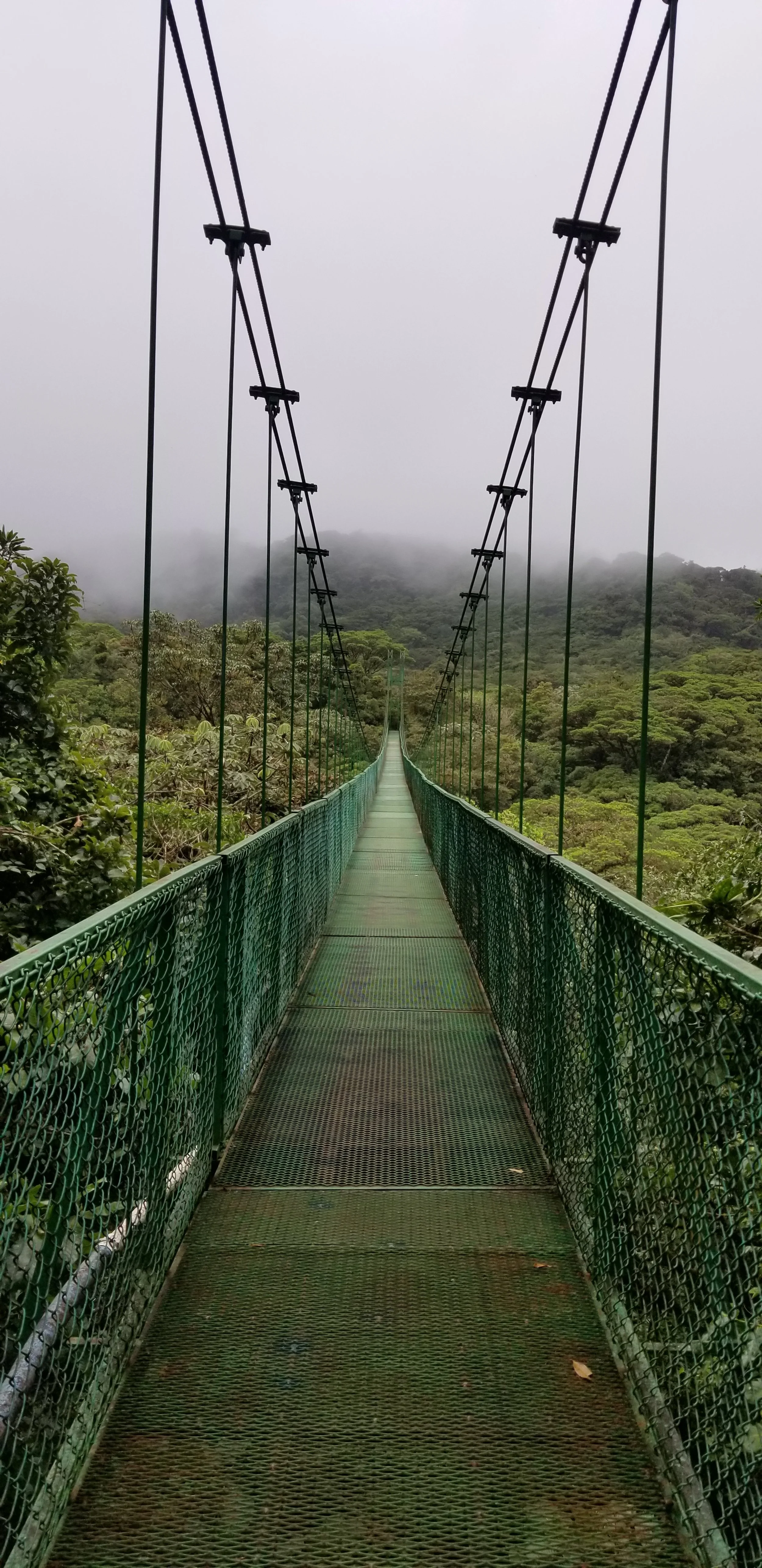 20191002_095553.jpg