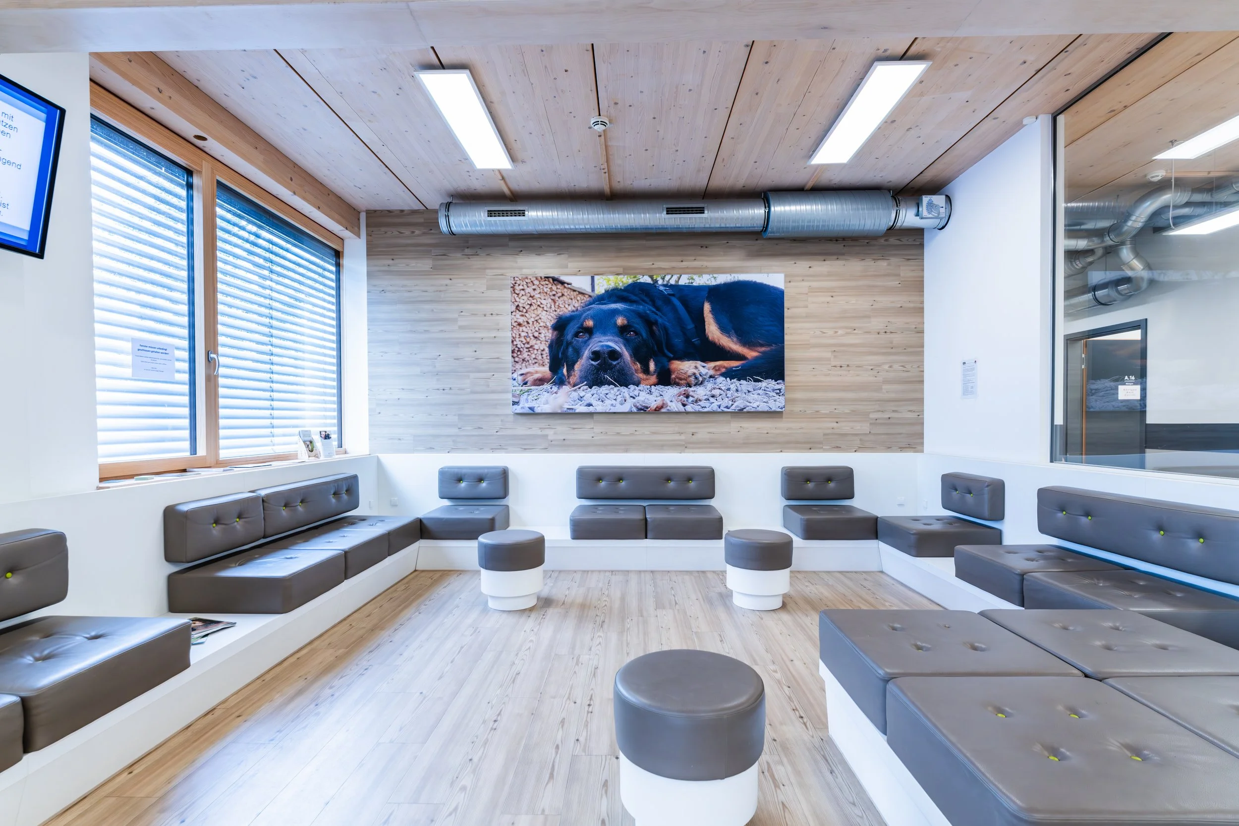 KAPPLER_Tierklinik Stuttgart-15.jpg