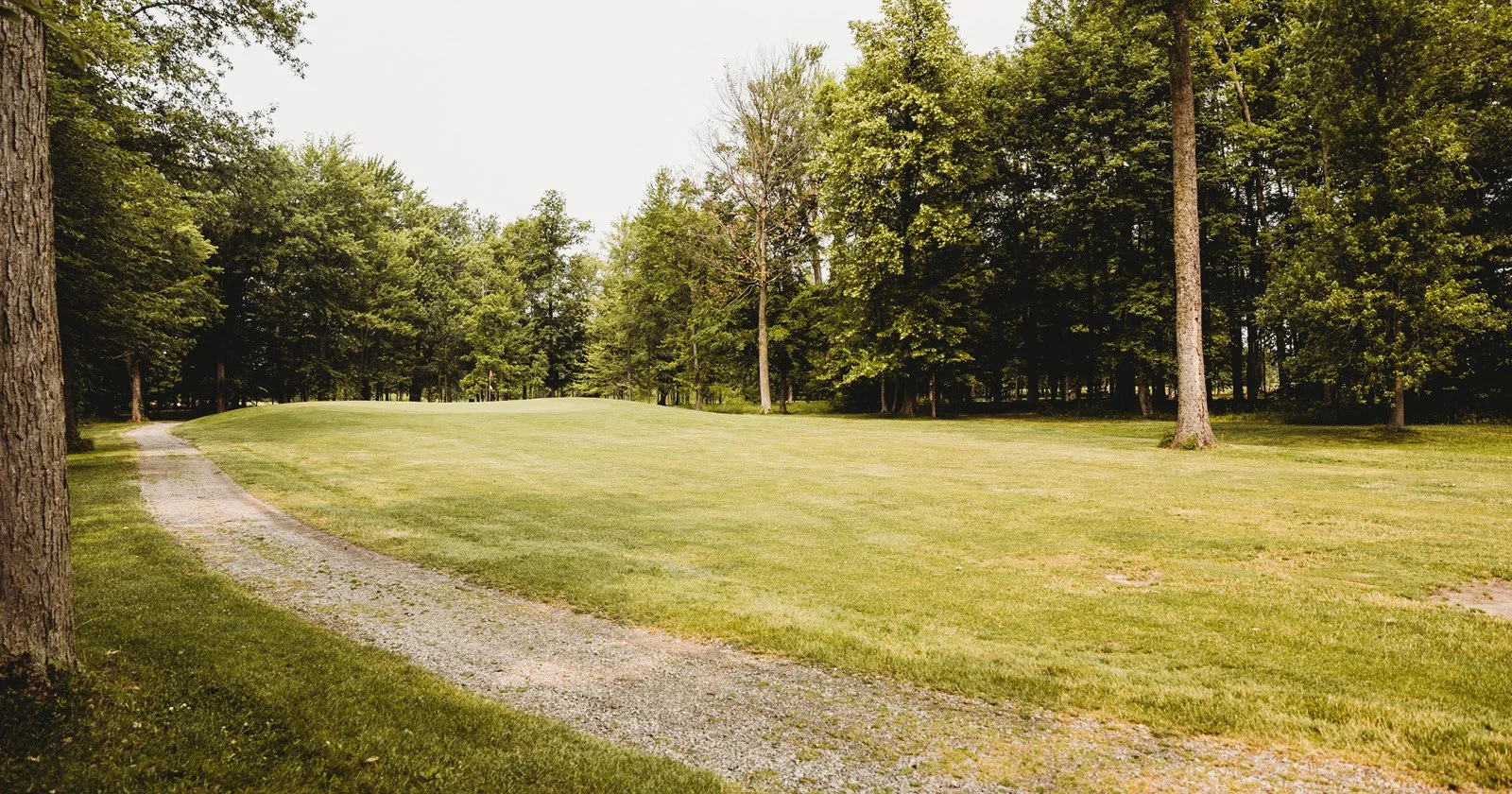 Ourdoor scene with a grassy field, a gravel walking trail, and tall trees in the background.