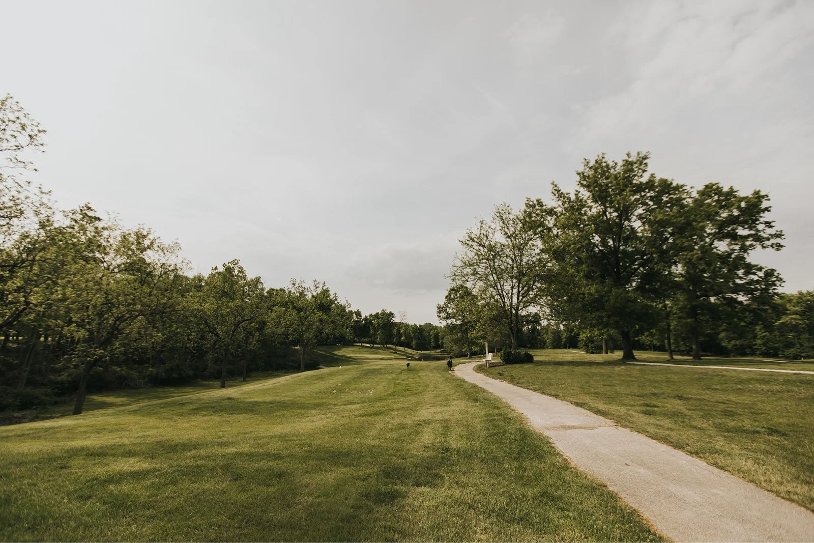 A park with a grassy area, a winding paved path, and trees with green leaves under a cloudy sky.