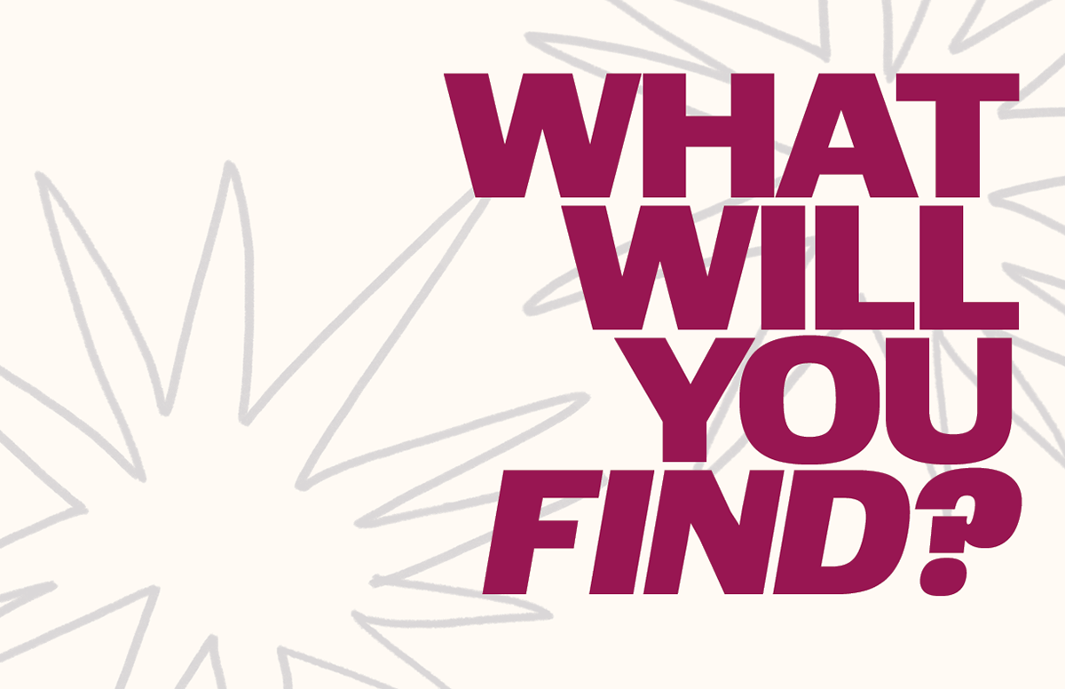 "Find" magazine, InDesign, 2024