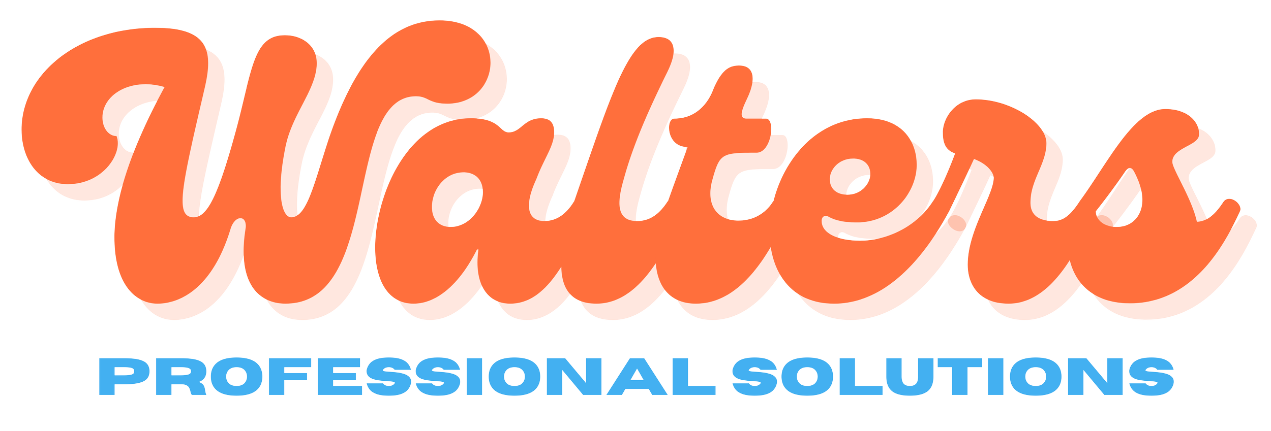 Walters Professional Solutions