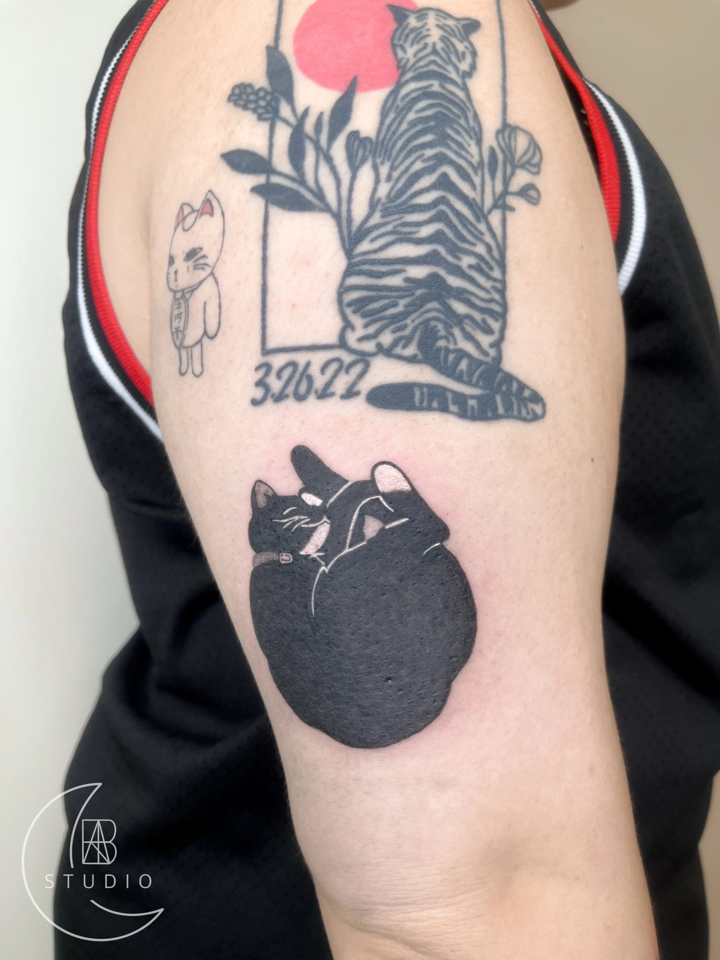 pet cat tattoo in black work in a sleeping position