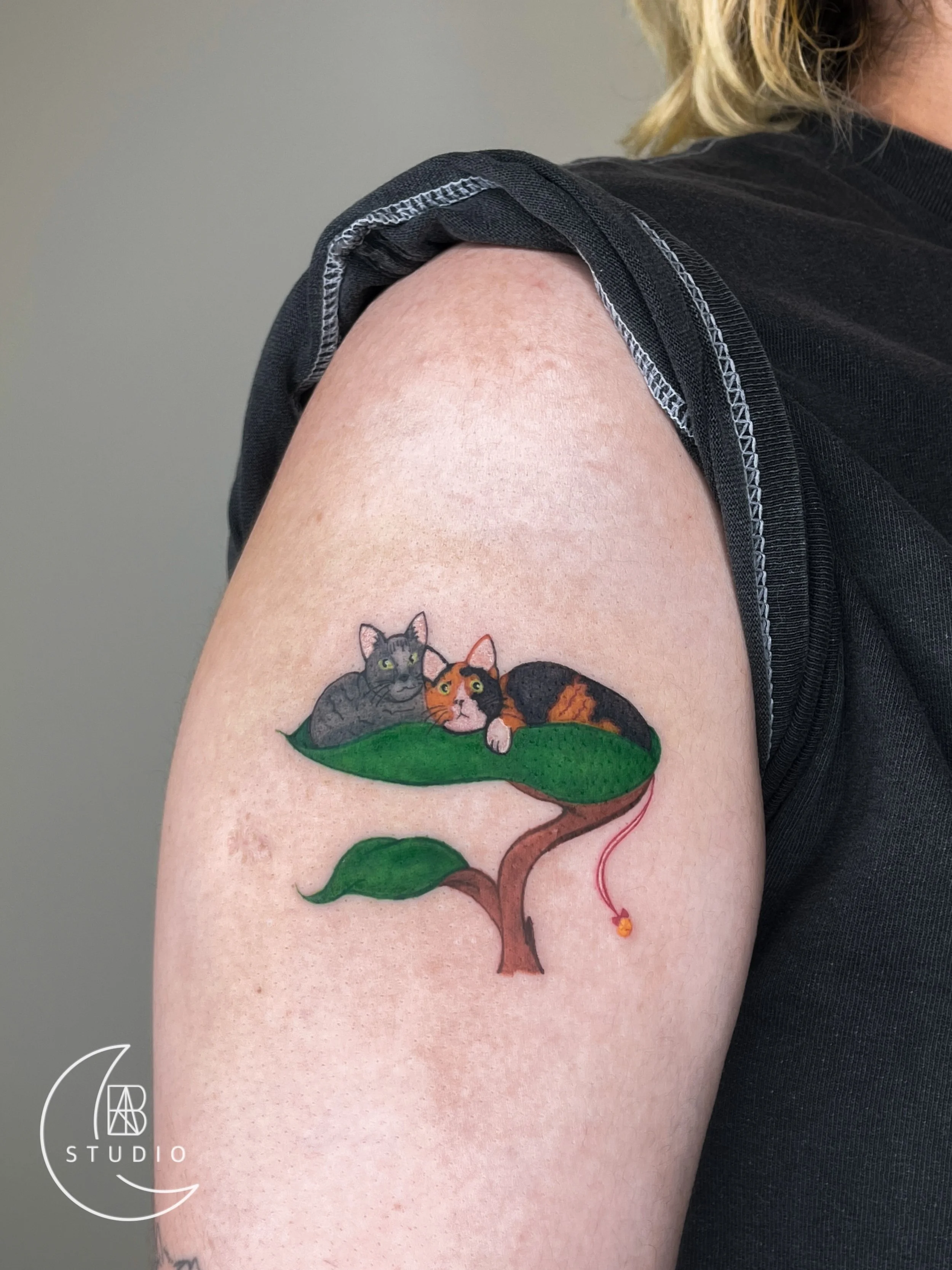 colorwork tattoo of client's pet cats sitting in a cat tree shaped like an actual tree