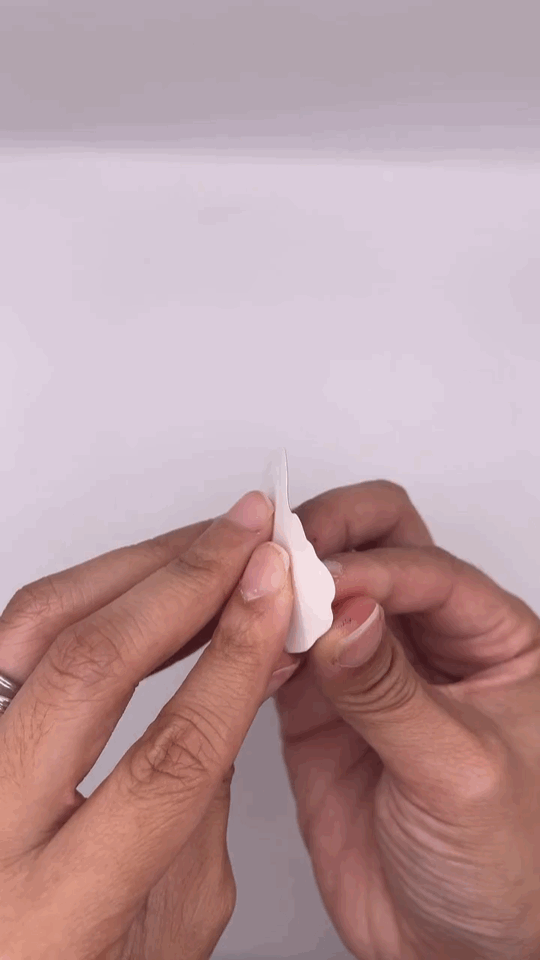 Video (3).GIF