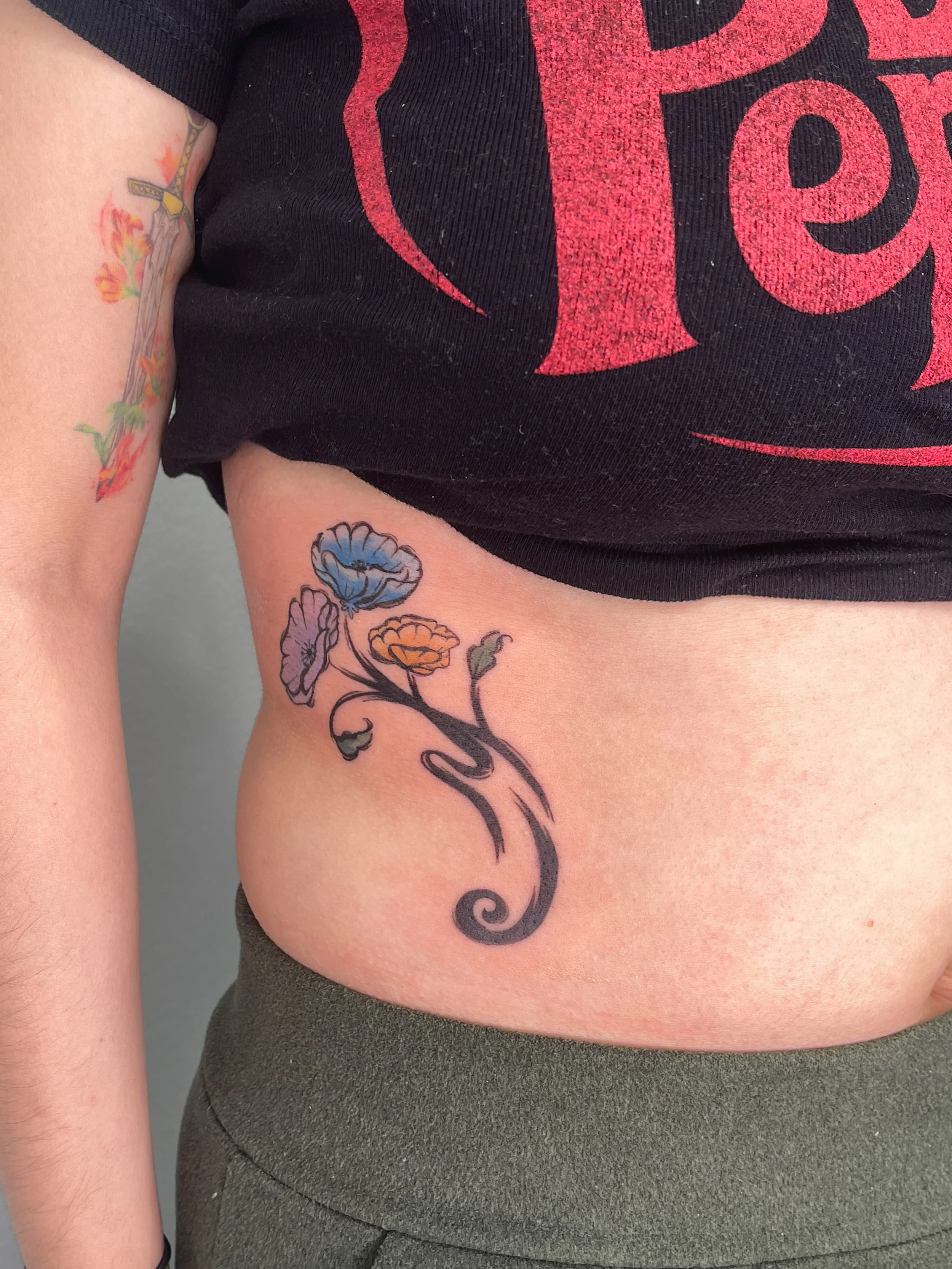3 poppy flowers in a whimsical brushstroke style and watercolored. Colors are based off client's favorite book series.