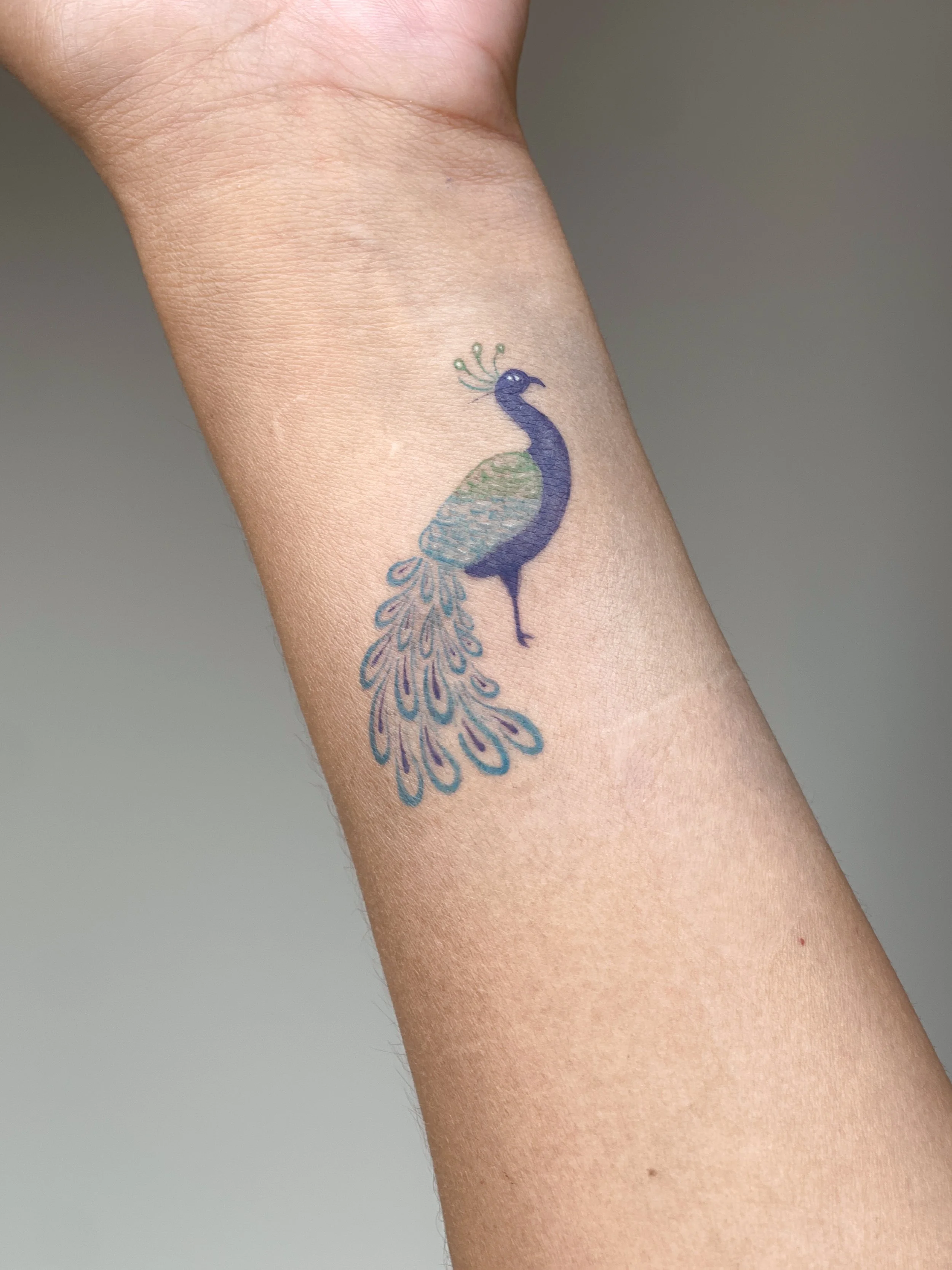 Peacock design from a mahjong tile client found during a trip