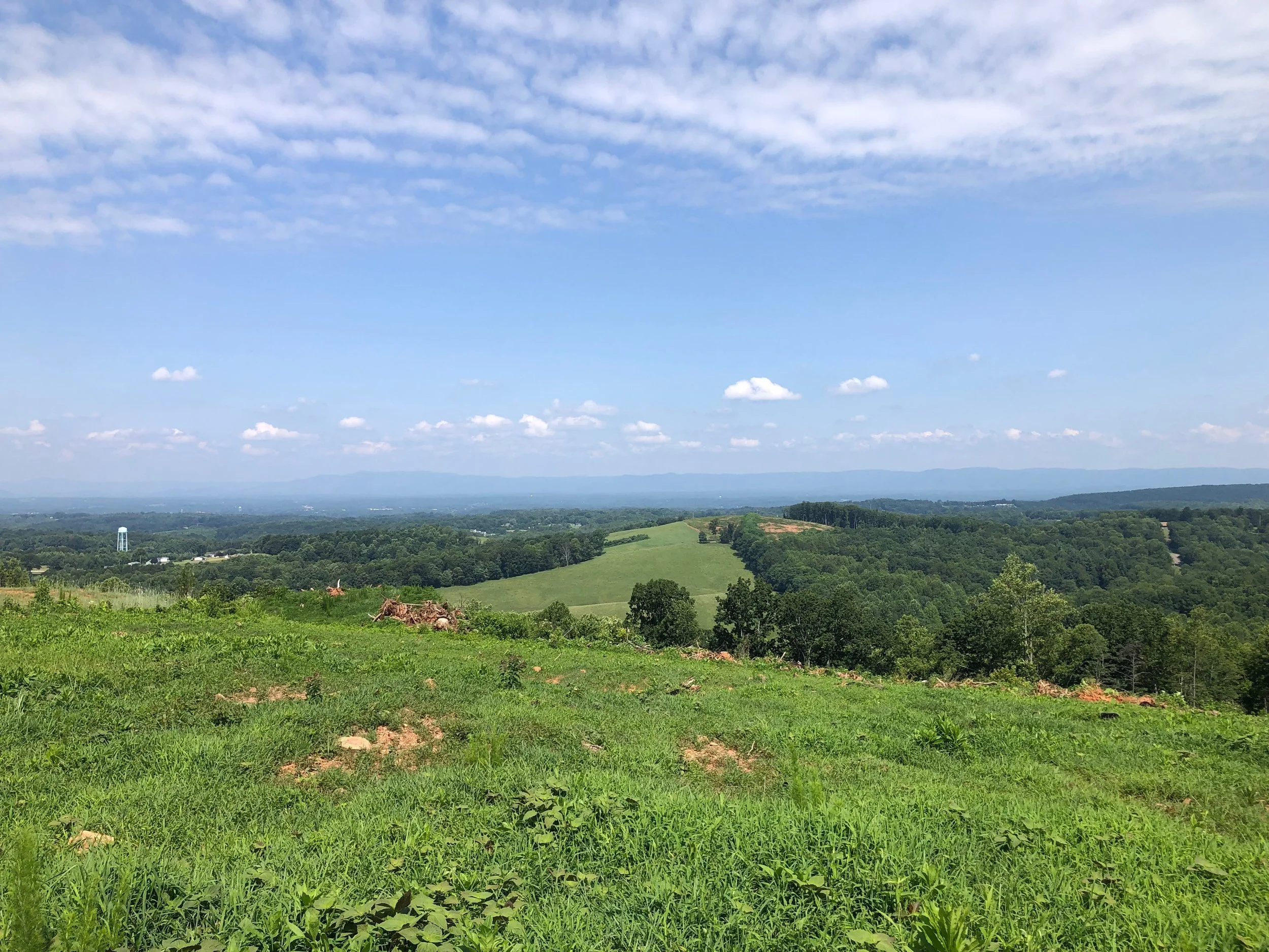 How Did I Find Myself Considering Life as a Budding Farmer?