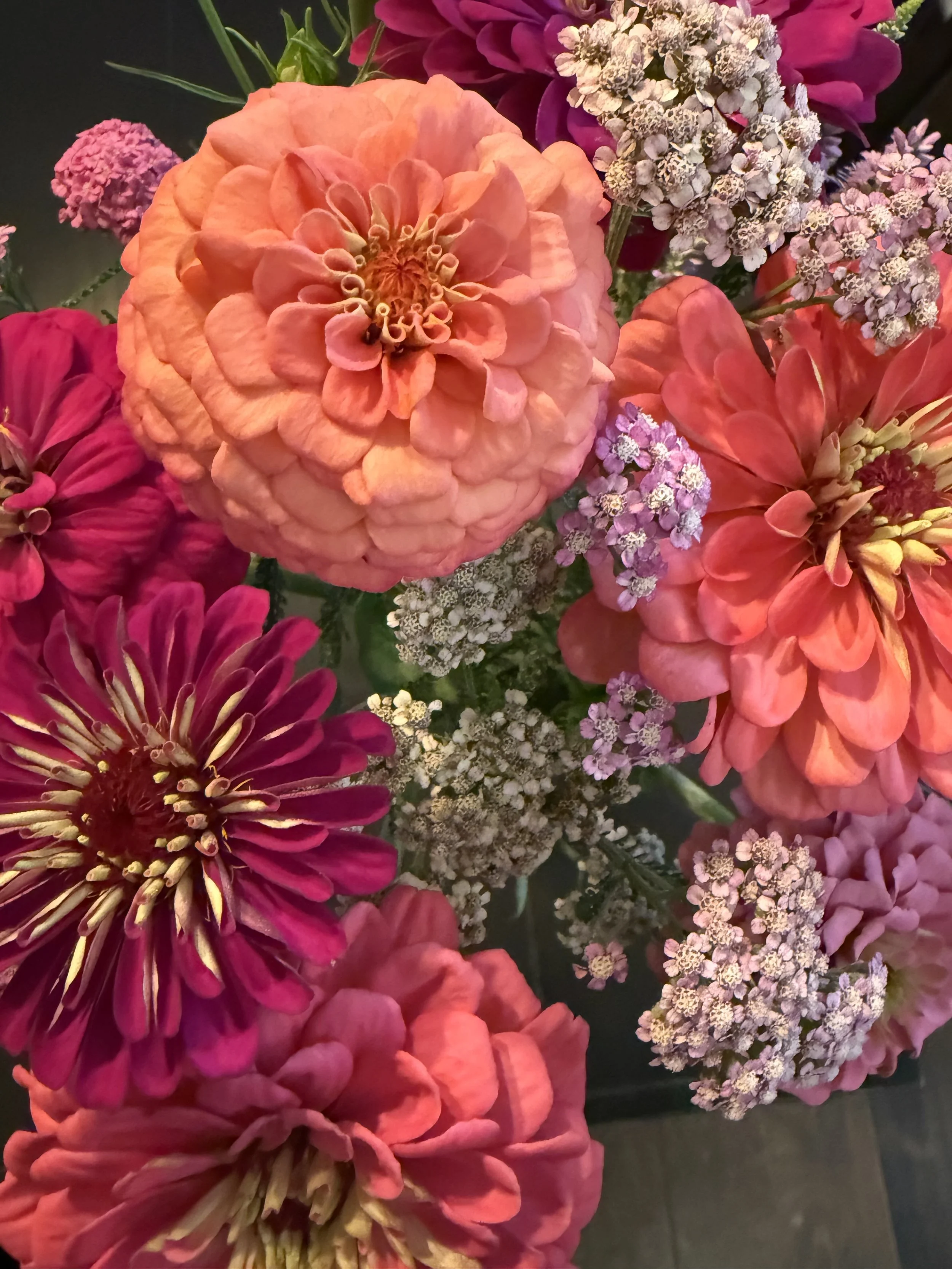 Ideas Evolve: Embracing the Land's Story