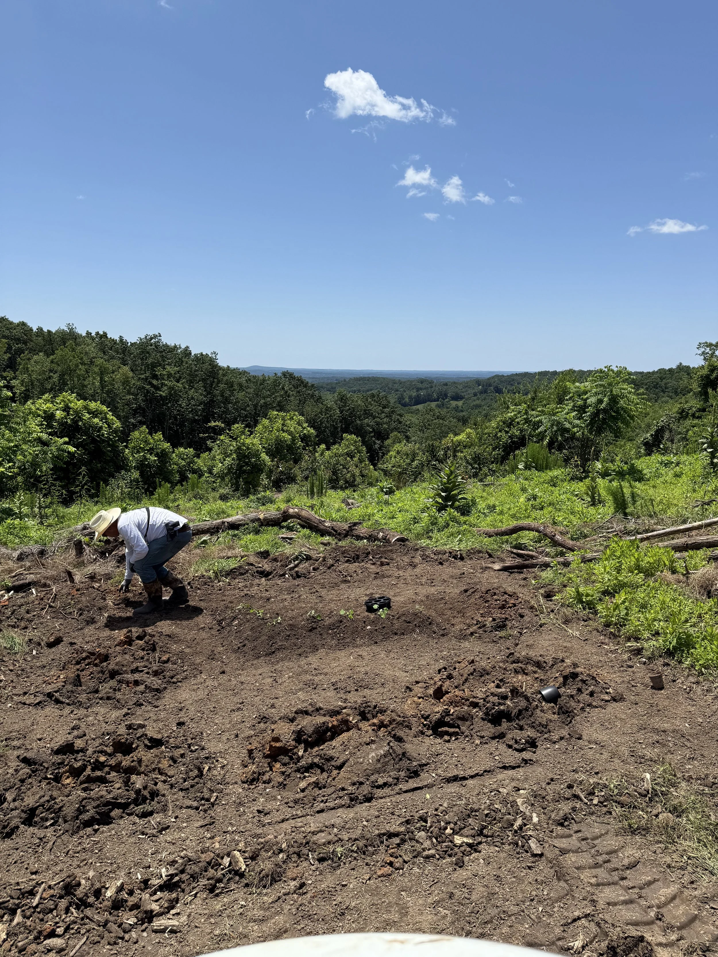 Breaking Ground — Literally