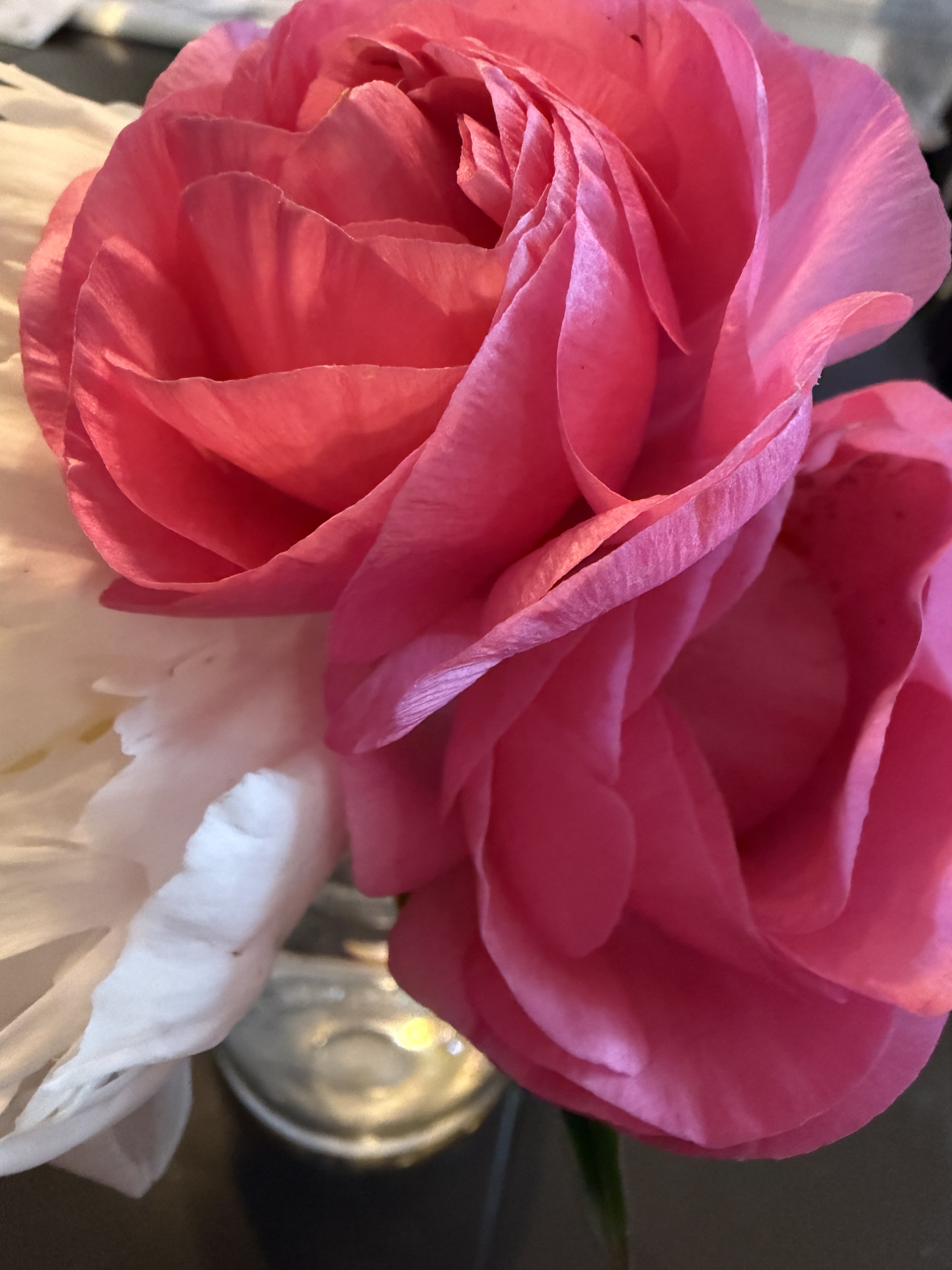 Flowers are for the “In-Between”