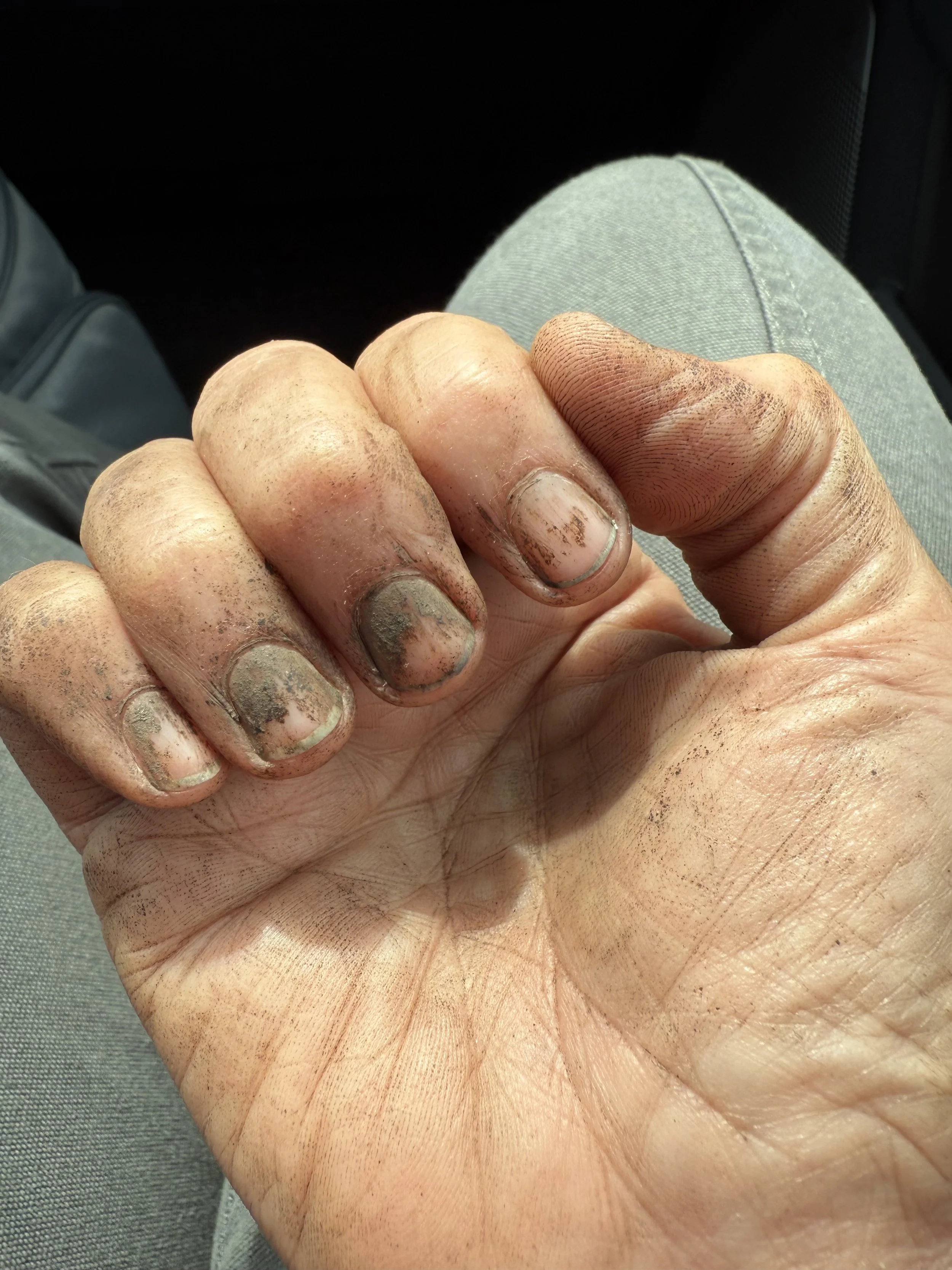 Dirt is Therapeutic