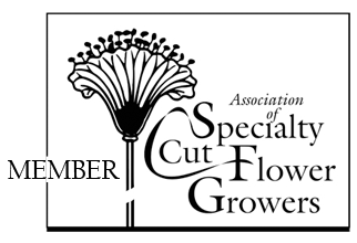 Association of Specialty Cut Flower Growers; member of Association of Speciality Cut Flower Growers