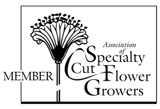 Association of Specialty Cut Flower Growers; member of Association of Speciality Cut Flower Growers