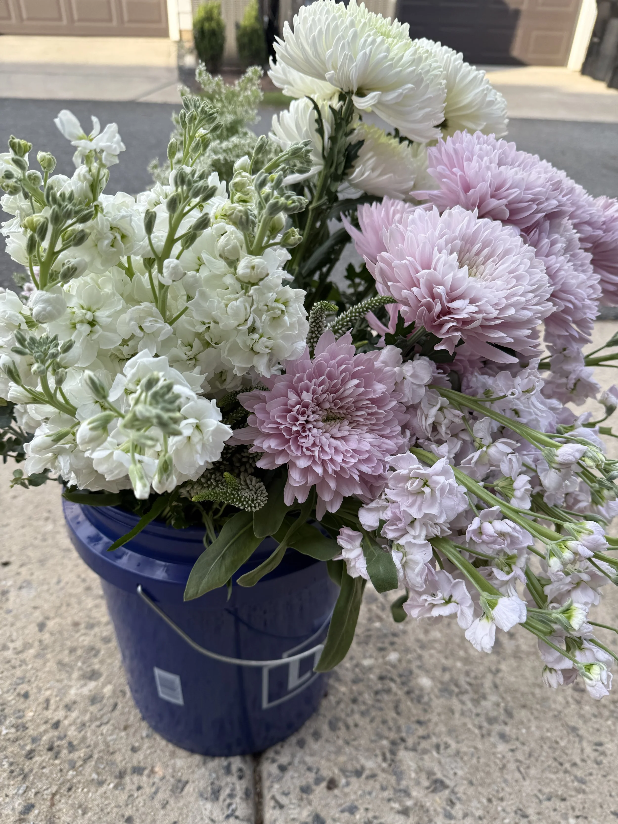 Buckets of Blooms
