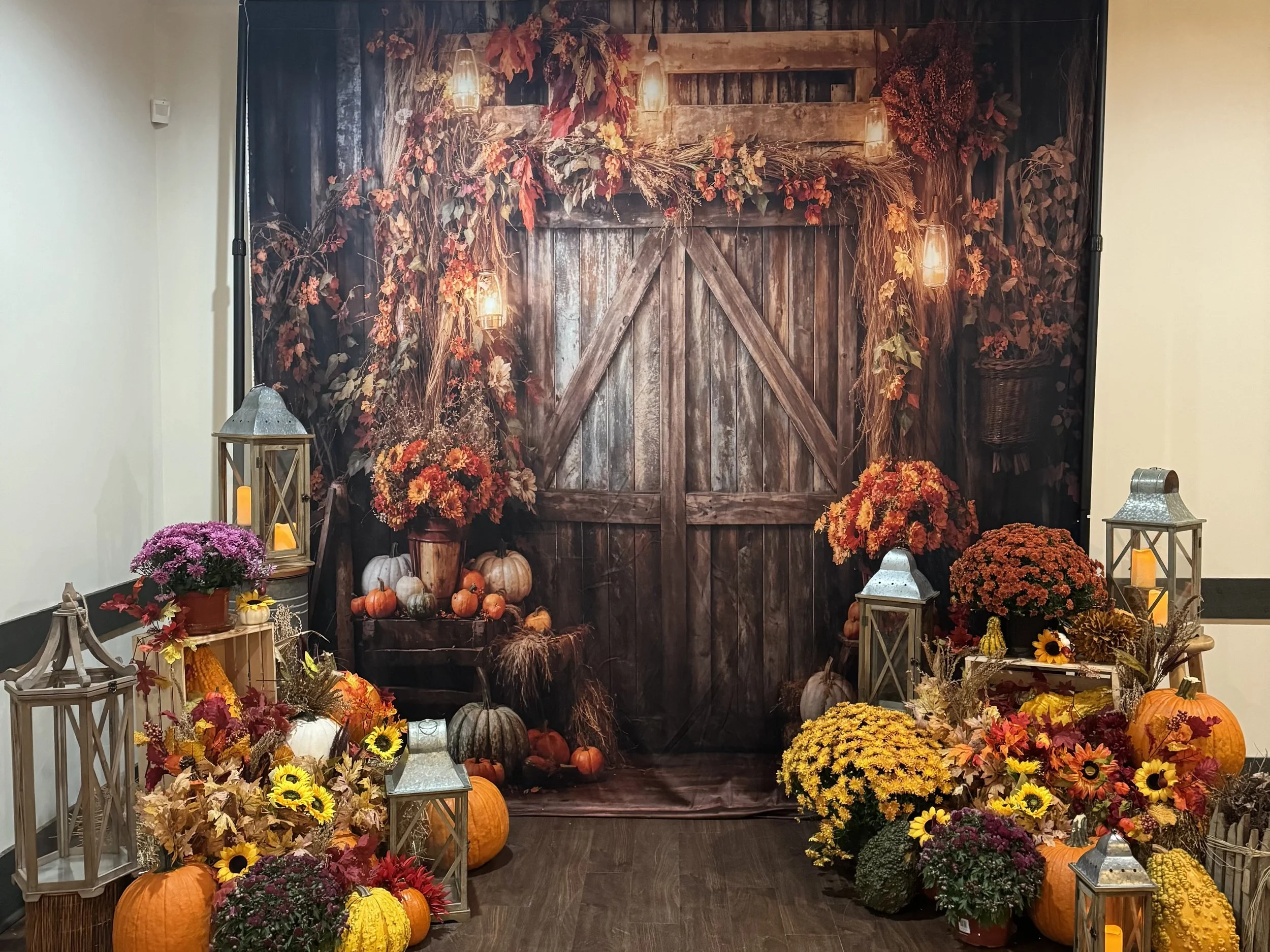 IMG_4295 Countryside.jpeg