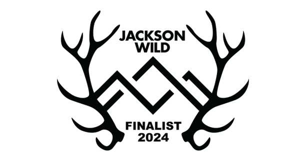 jackson.png
