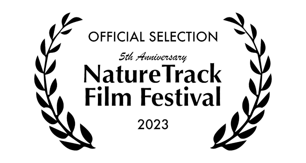 naturetrack.png