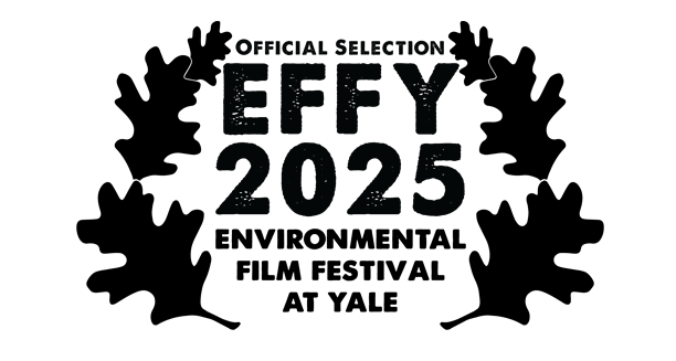 effy.png