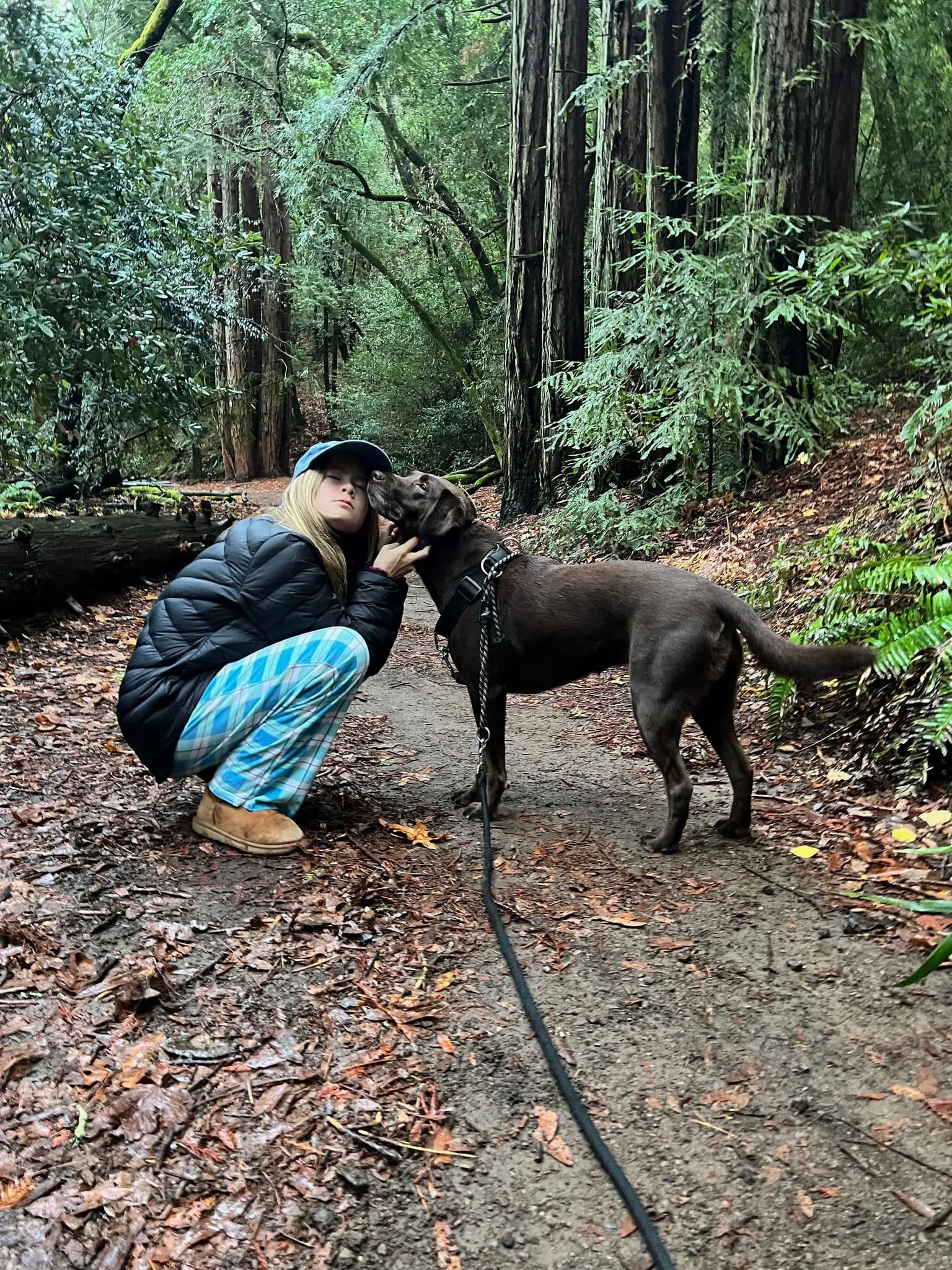 This redwoods crew left their cameras home-min.jpeg