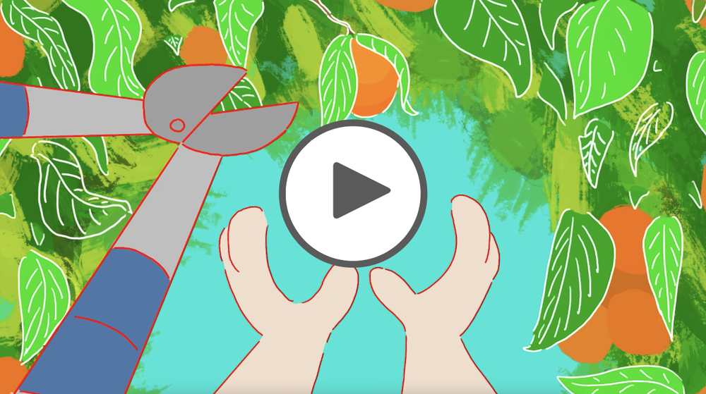 My Tree Story, By Kiyomi DallasKidd