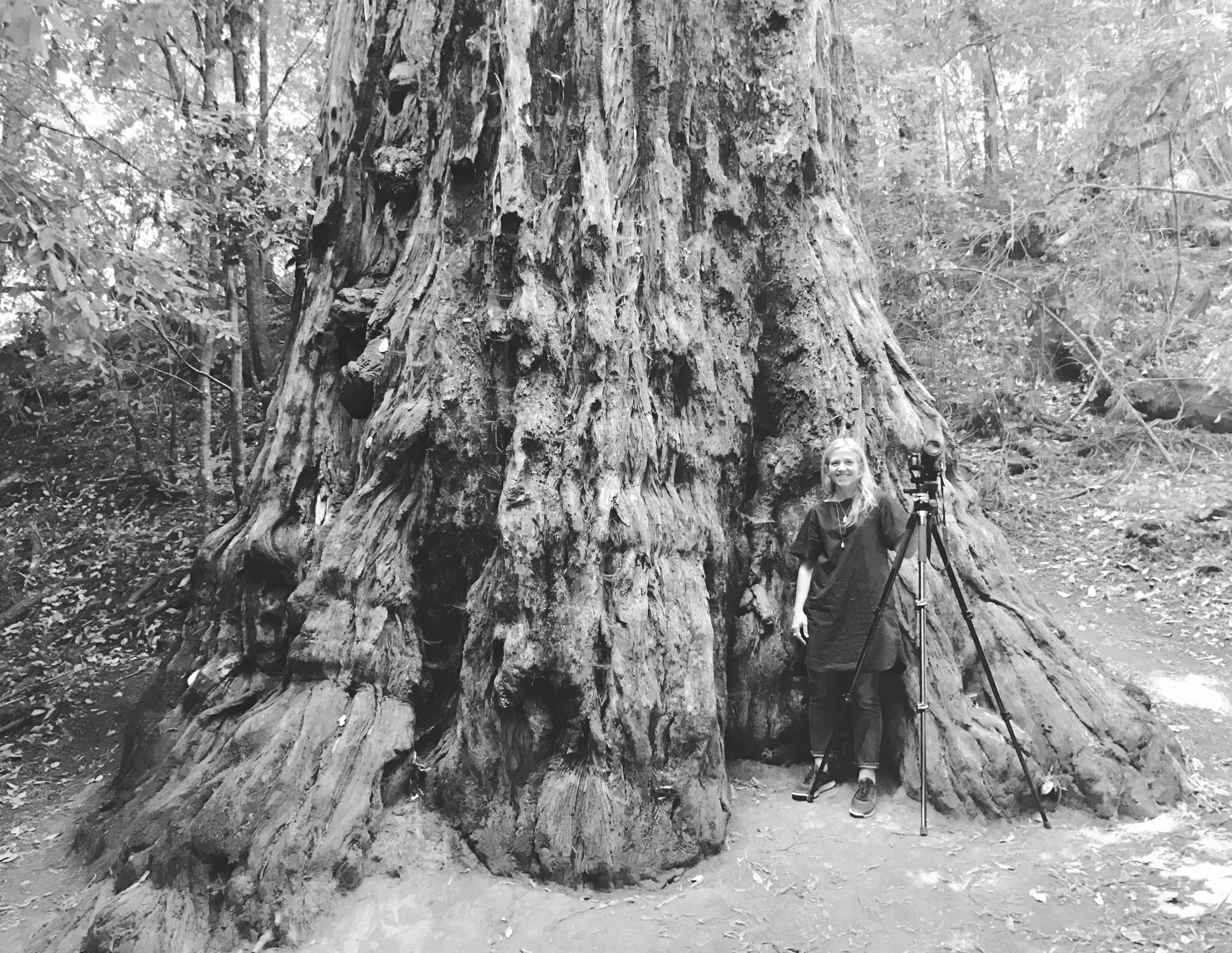Sarah Bird, in Portola Redwoods State Park