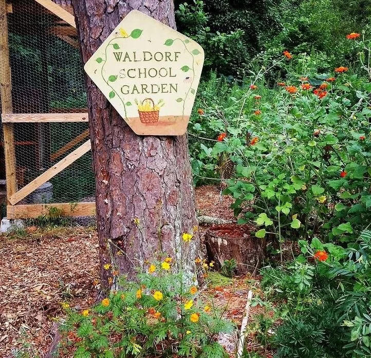 garden2.JPG