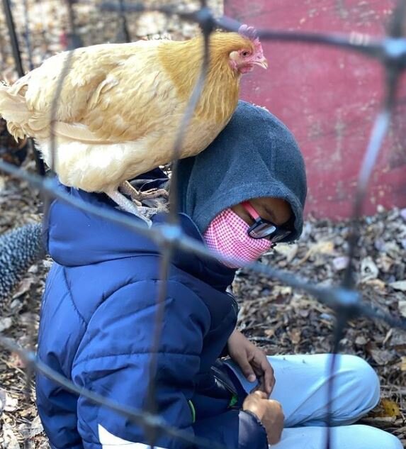 Grade8_mekhi&chicken.JPG