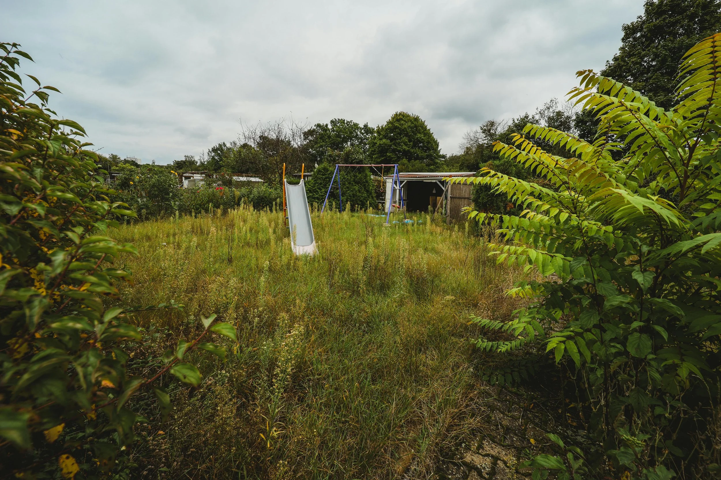 Overgrown vegetation on land with slide