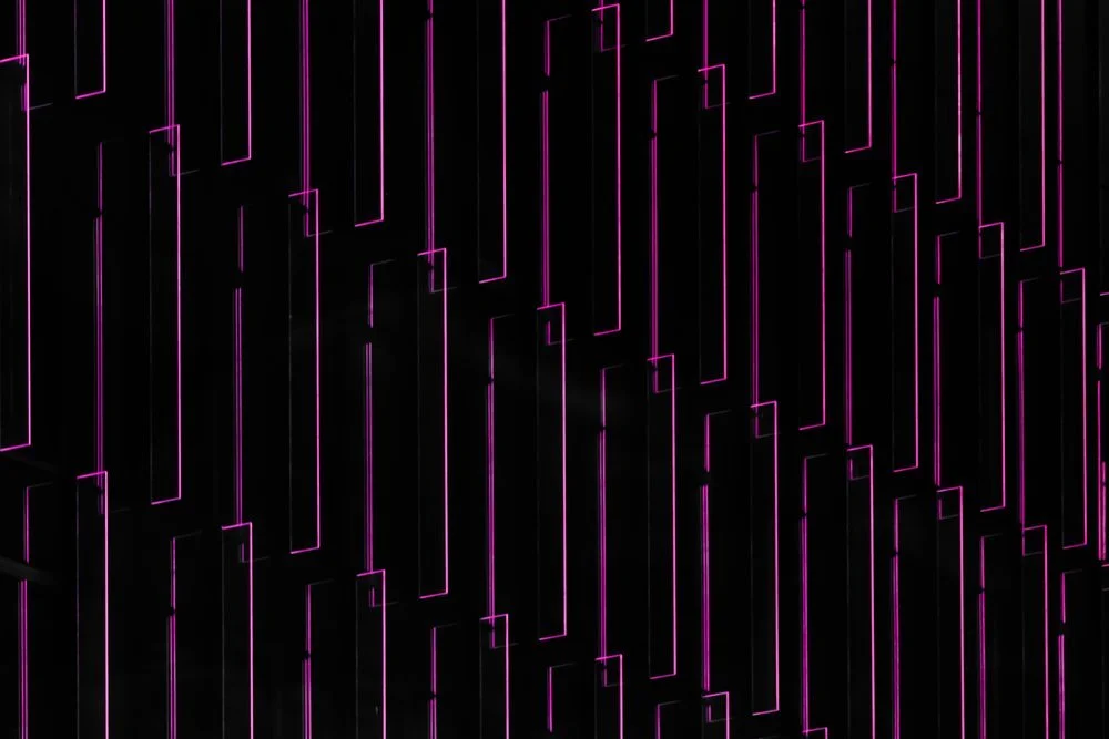 LA PACIENCIA Y LOS PROCESOS