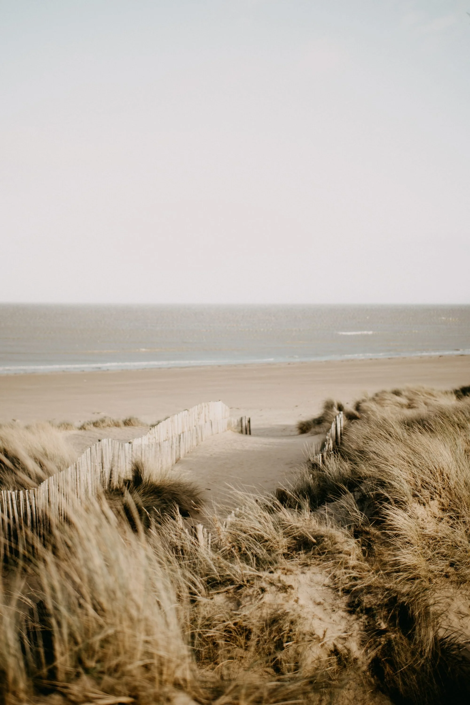 CÓMO CERRAR LA BRECHA ENTRE LO QUE PASA EN PRIMERA LÍNEA Y TÚ