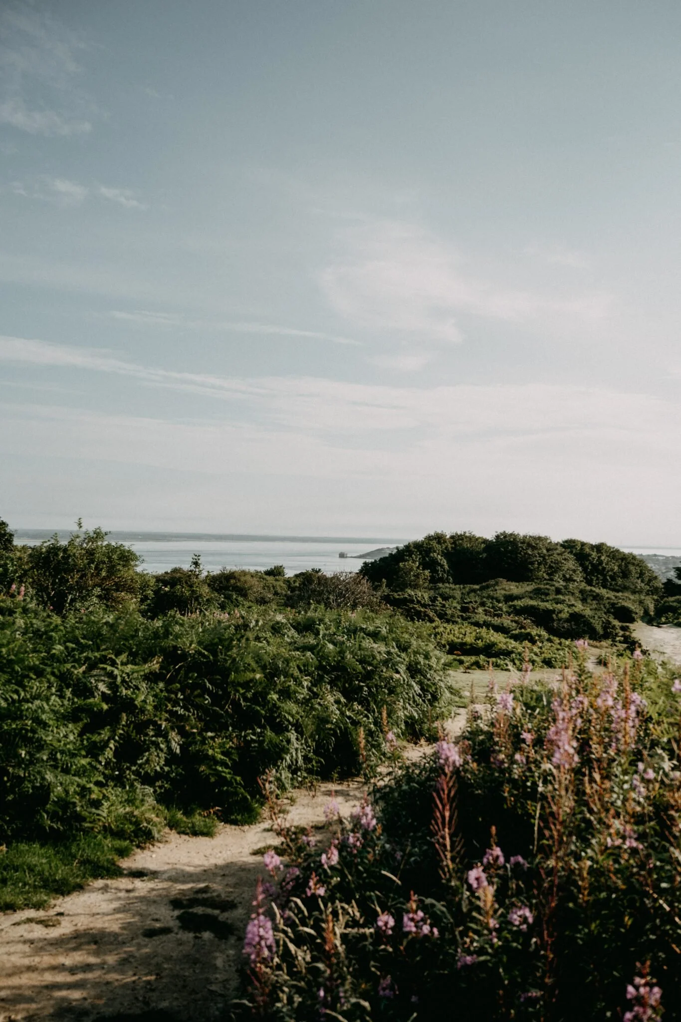 LA ADAPTACIÓN DE RUTINAS CUANDO TIENES UNA TRANSICIÓN FUERTE